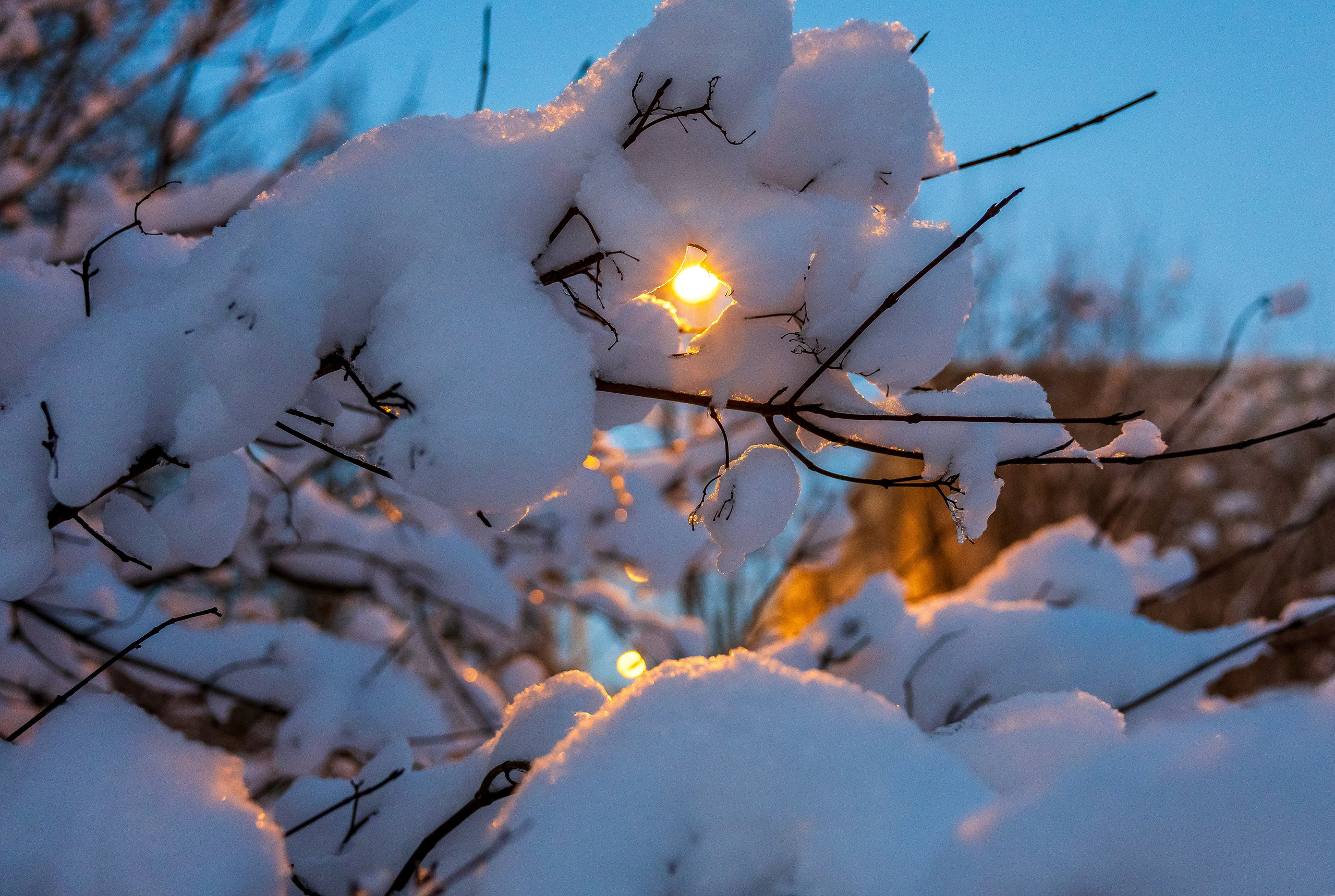 Пейзаж. Фотограф Люся Воробьева