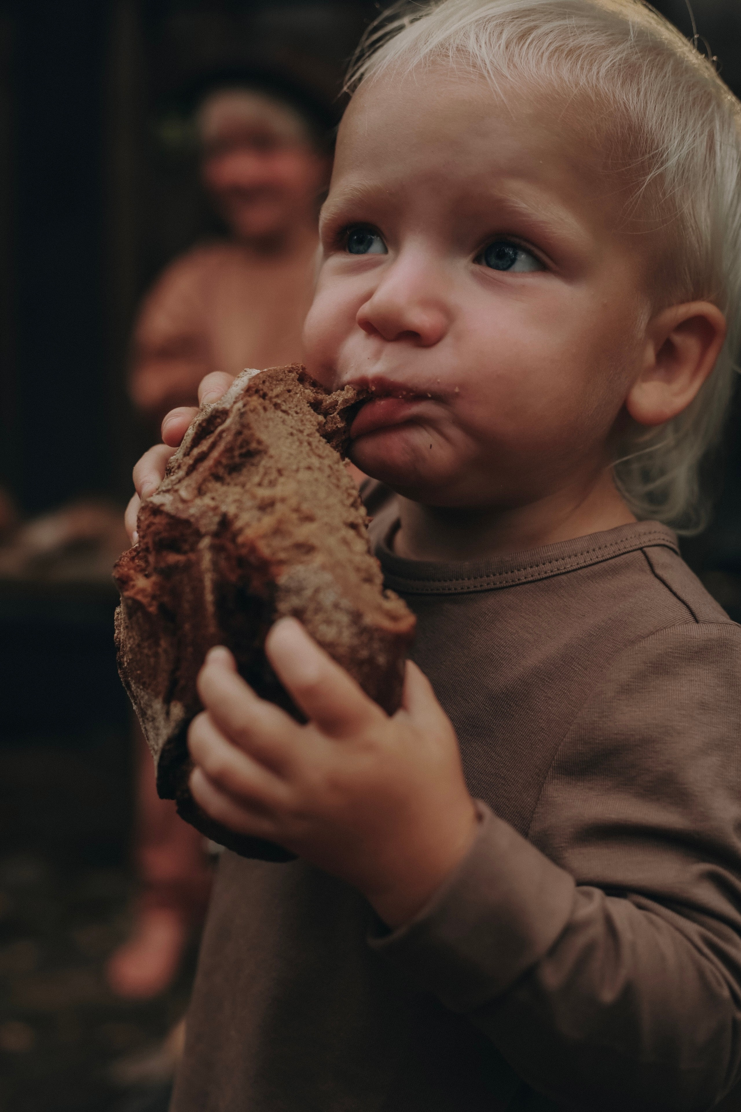 Лесная история. Детский фотограф, Волгоград