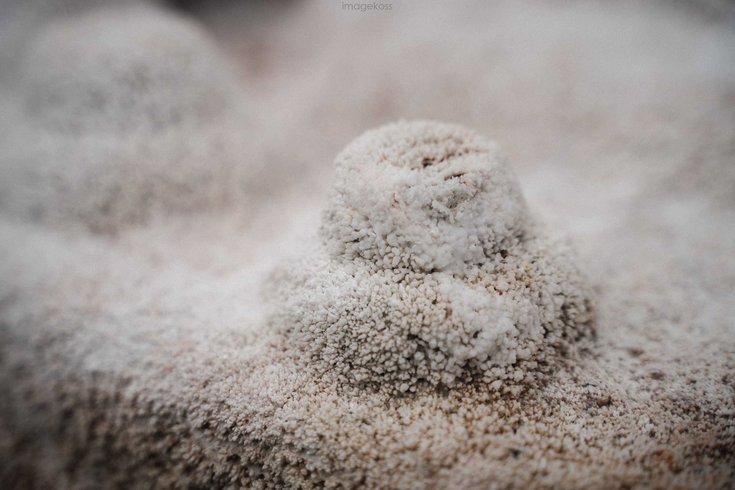 Камчатка. Фотограф в поход и восхождение на Эльбрус Игорь Косарев