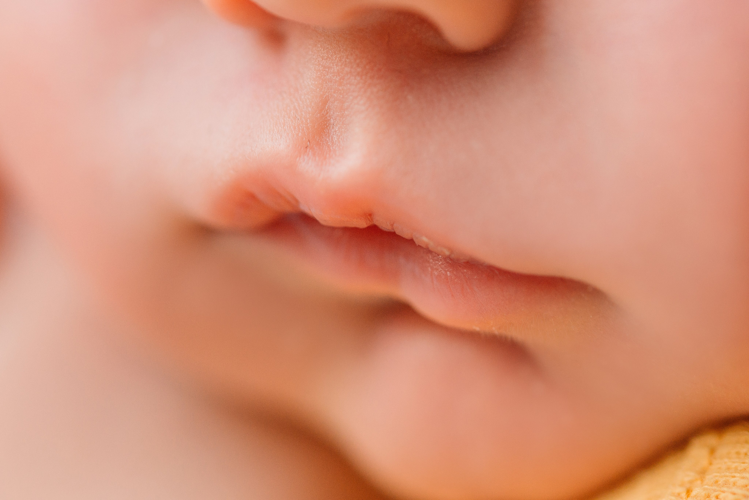 Елисей. Фотограф новорожденных Белгород