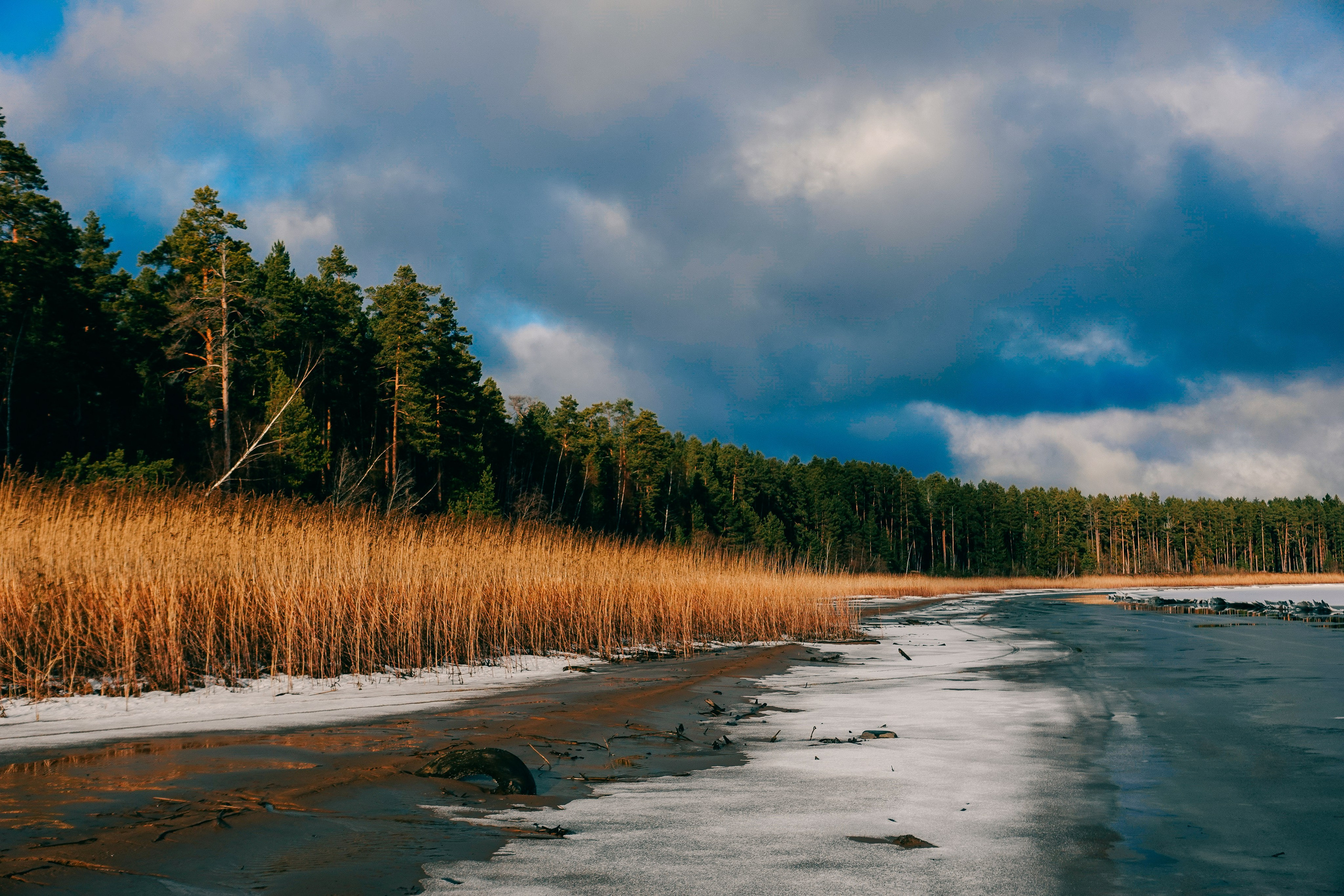 Пленишник. Фотограф Алиса Аспер