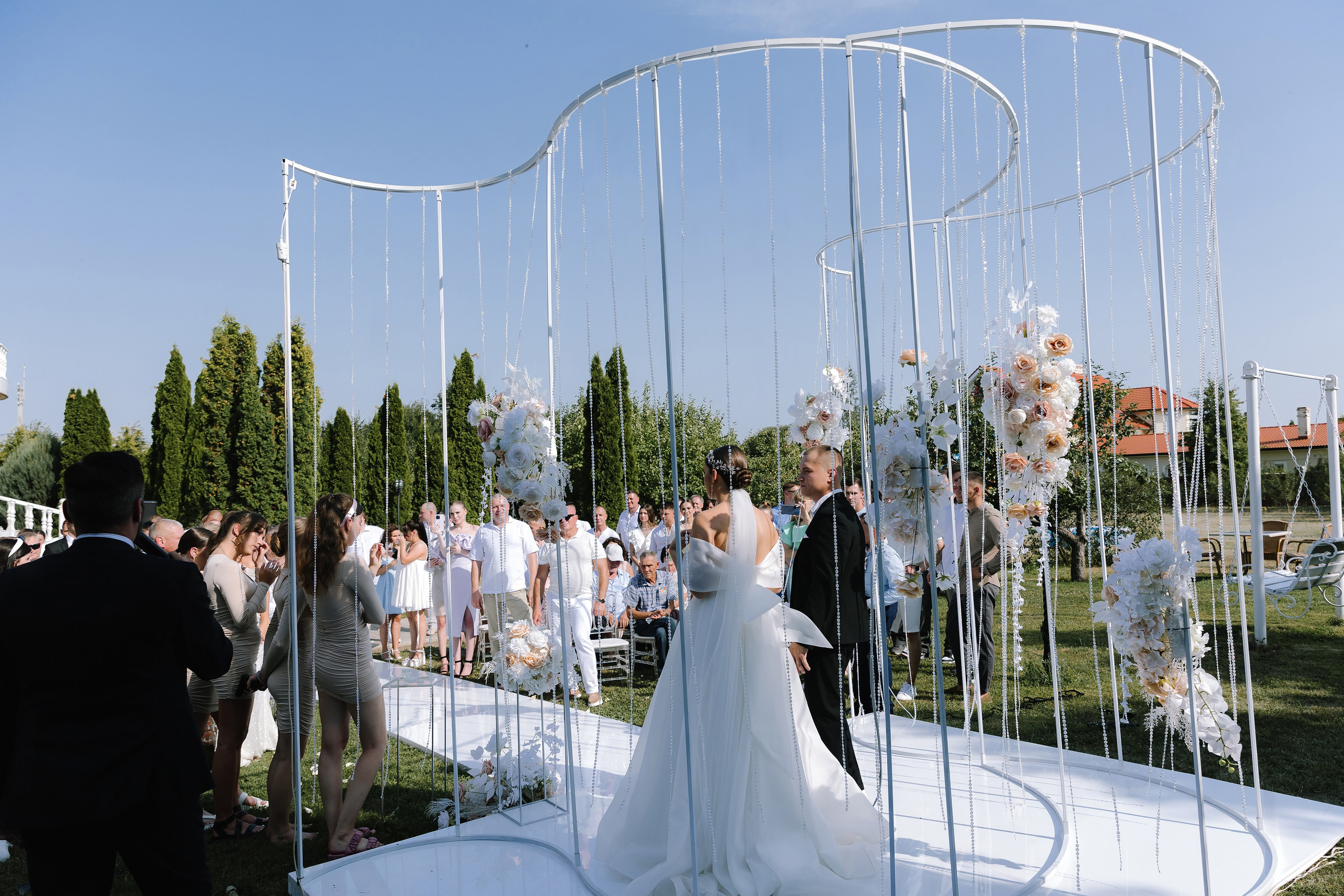 Бабочки. Фотограф Елена Краснопевцева