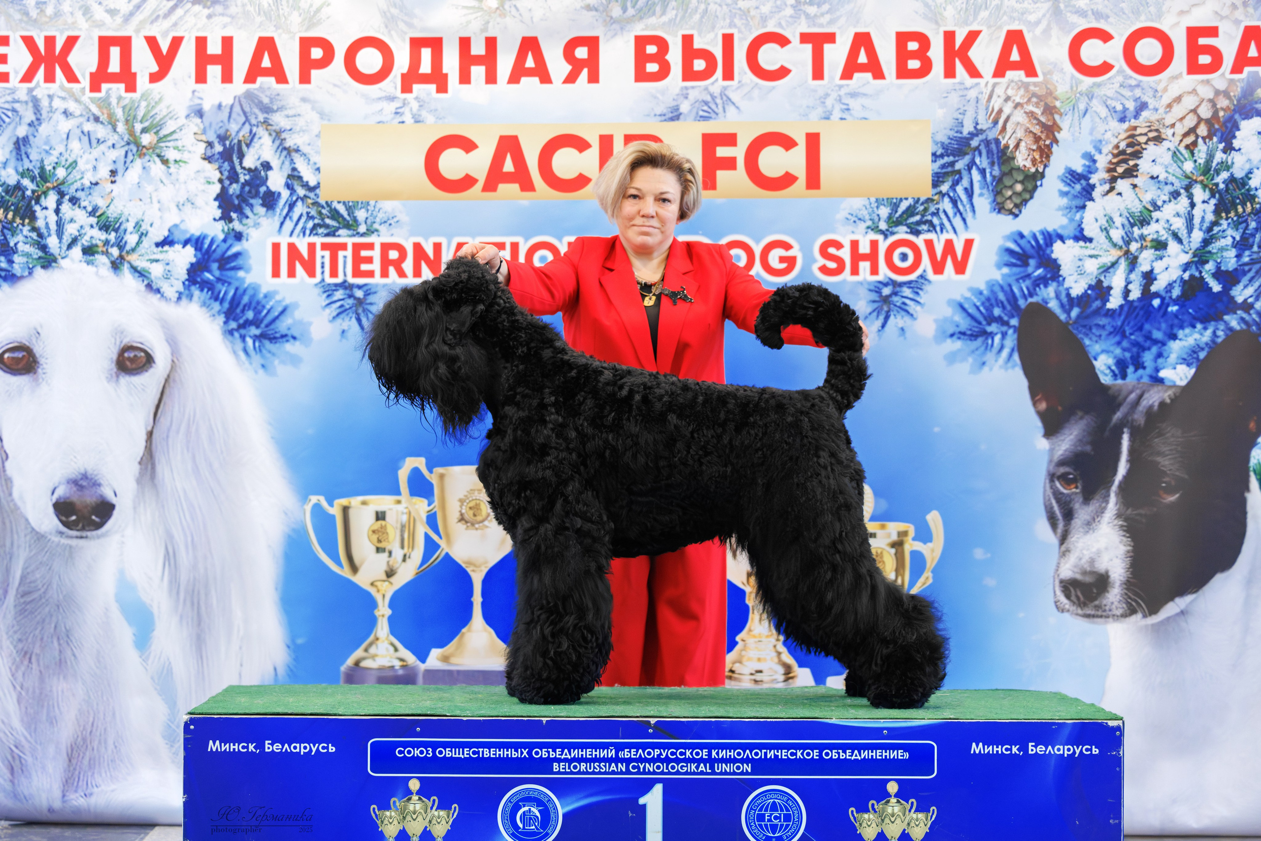 Минск 1-2.03.2025. Фотограф-анималист Юлия Германика