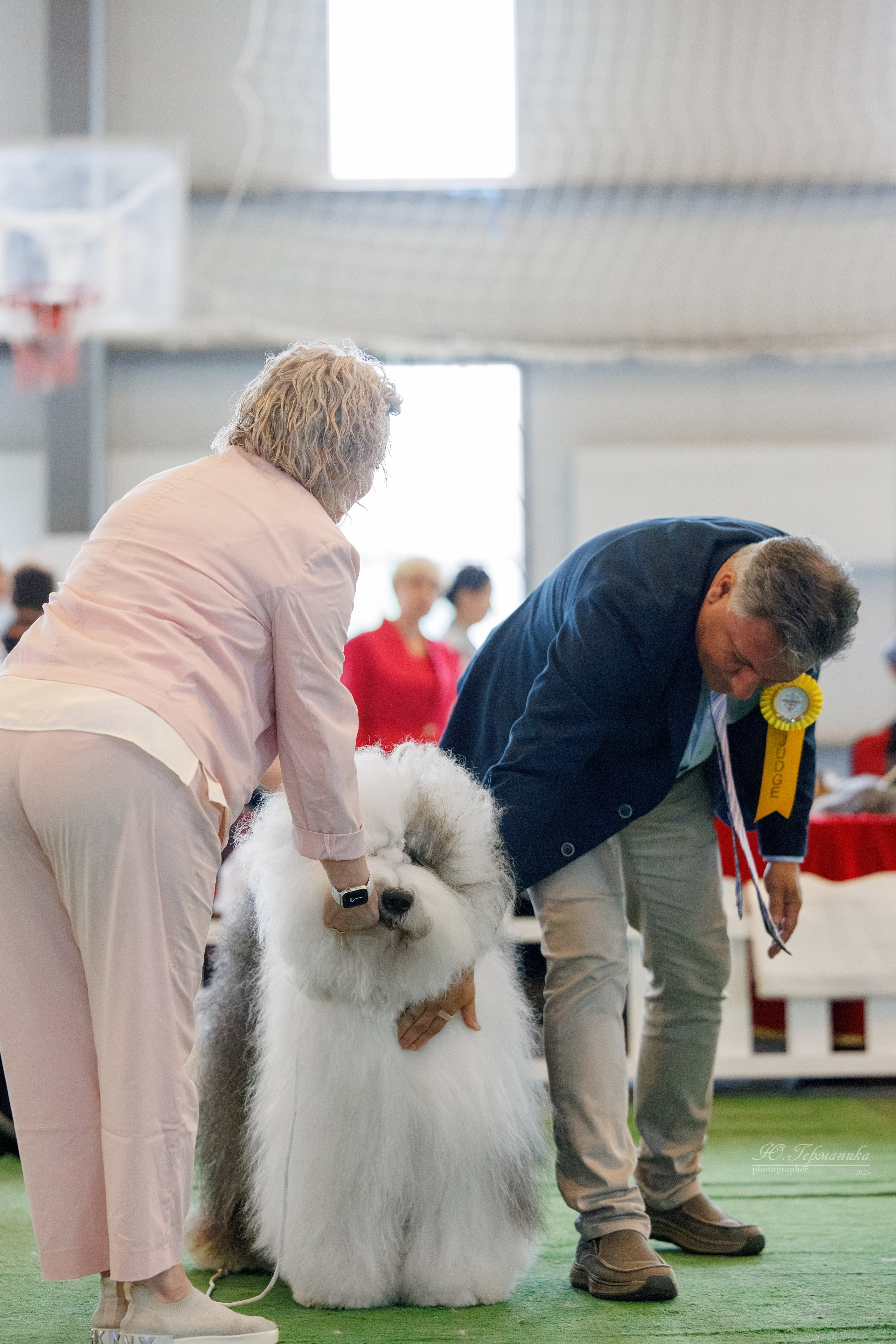 Батуми 3хCACIB 27-29.06.2025. Фотограф-анималист Юлия Германика