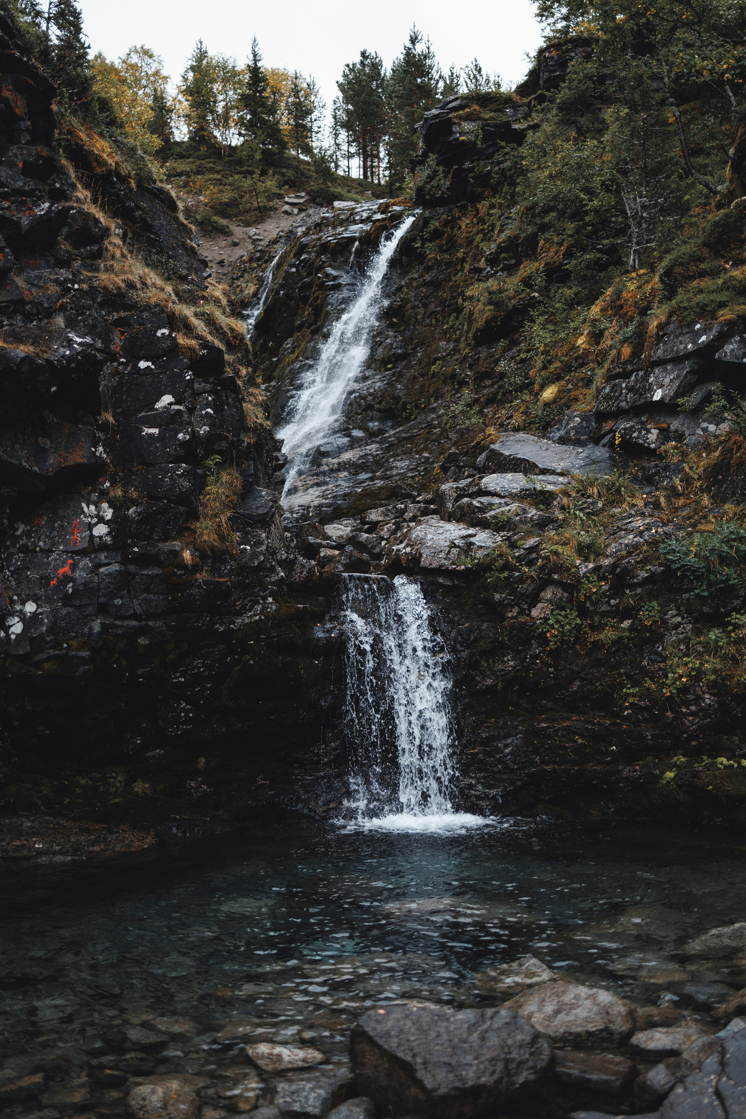 Водопад. Фотограф-анималист Анна Маринич