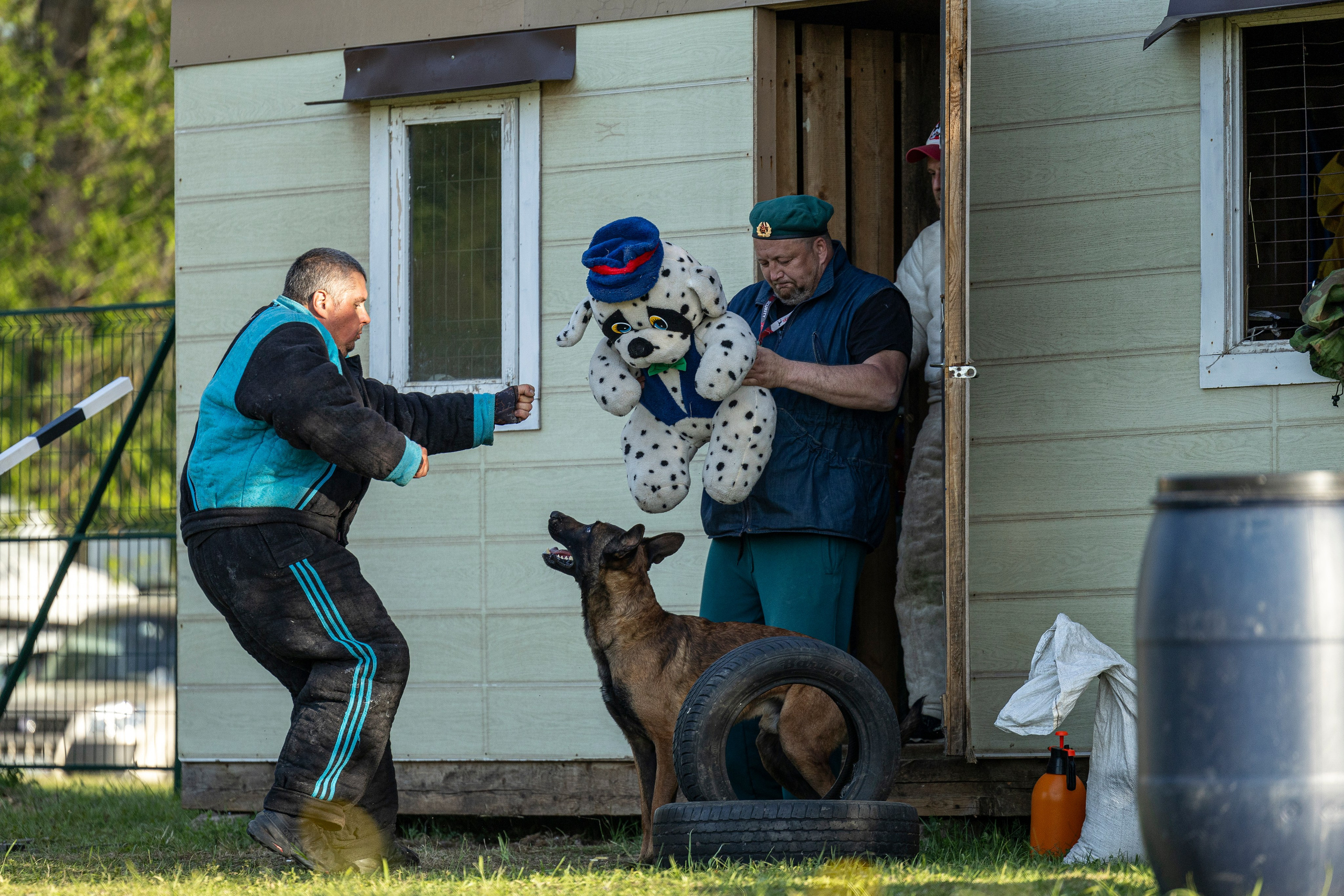 Испытания по мондьорингу в Нижнем Новгороде. Фотограф-анималист Анна Маринич