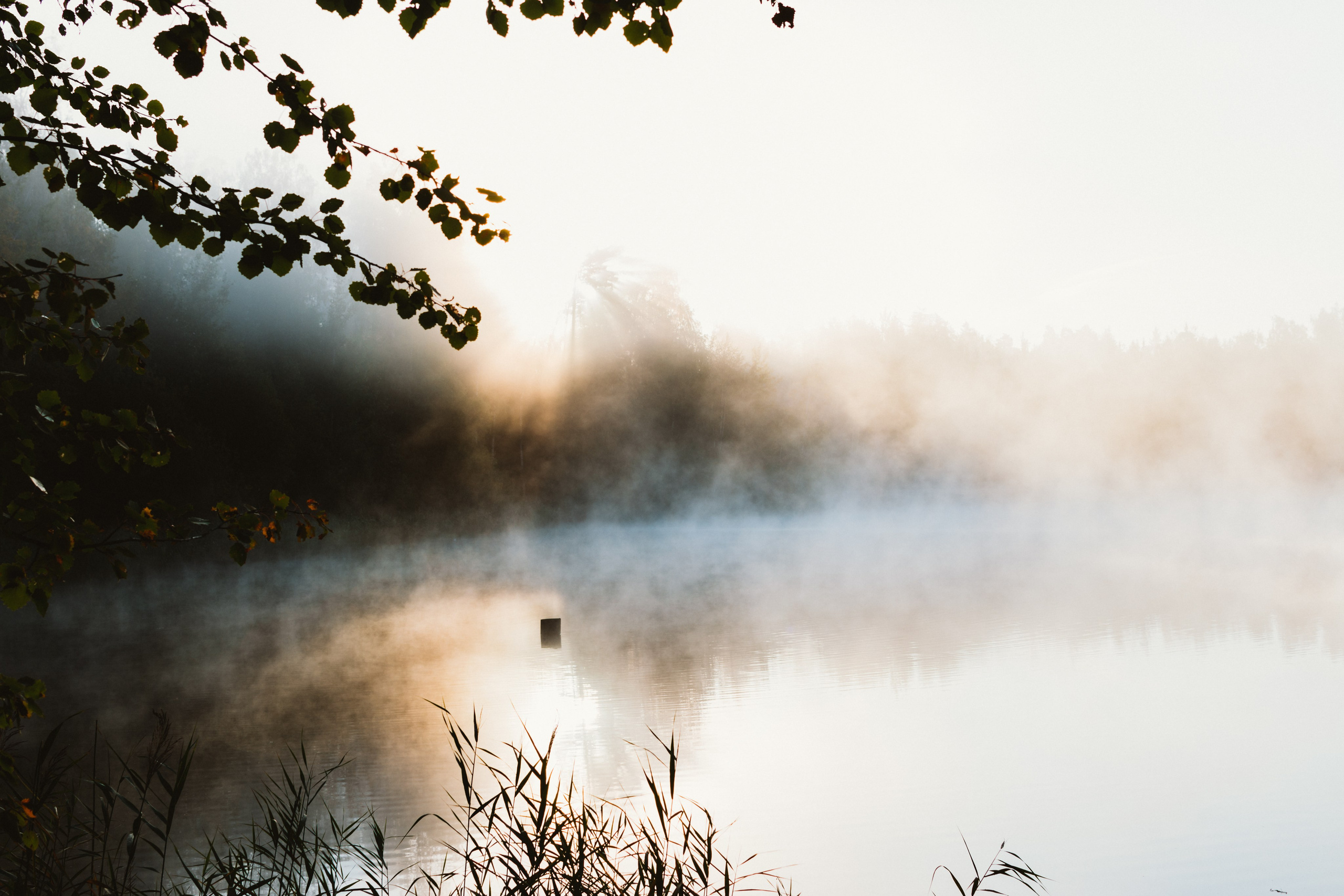 Портретный и репортажный Фотограф в Москве Александра Комарницкая