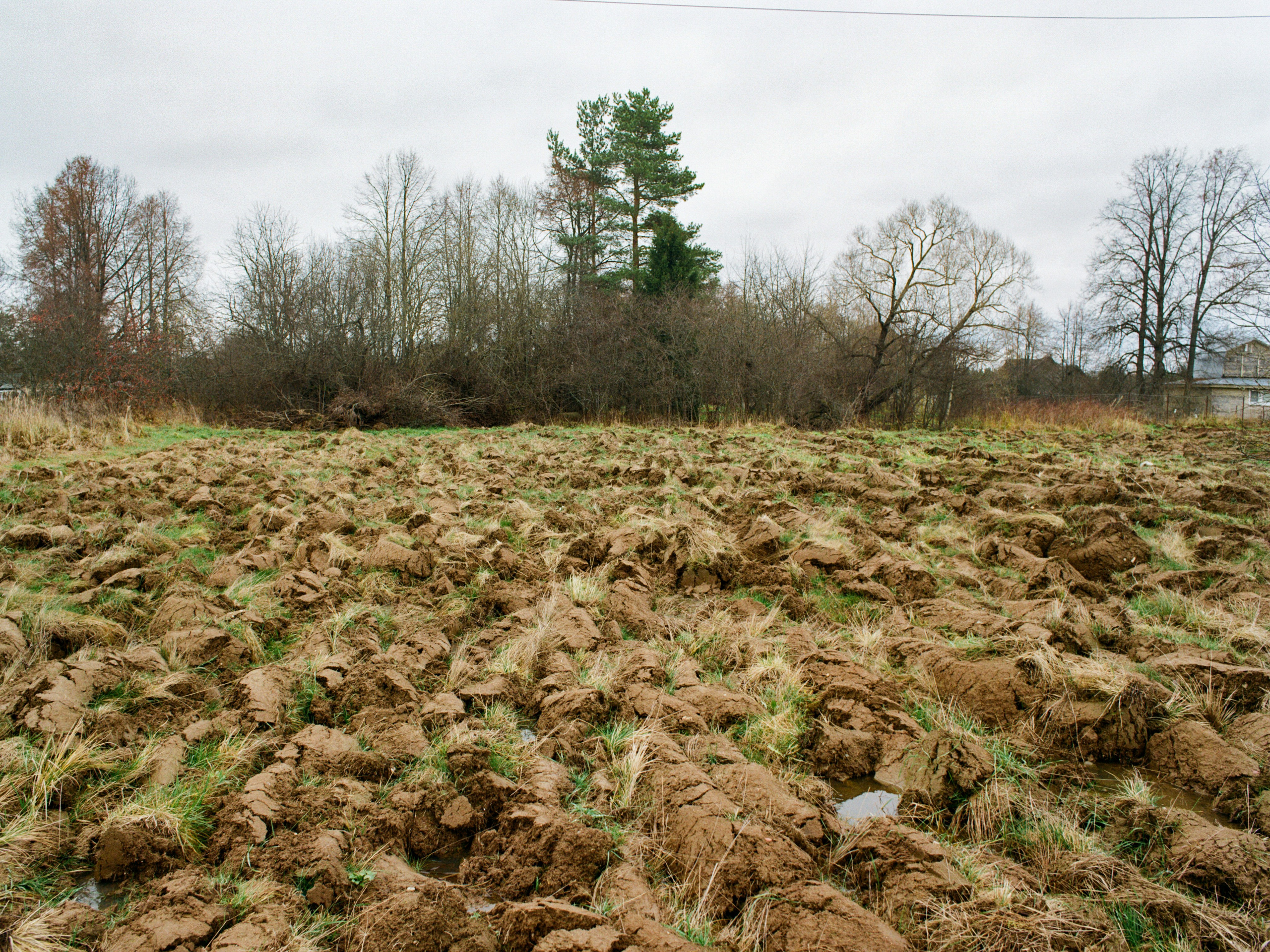 Roadtrip. Maria Abdullaeva
