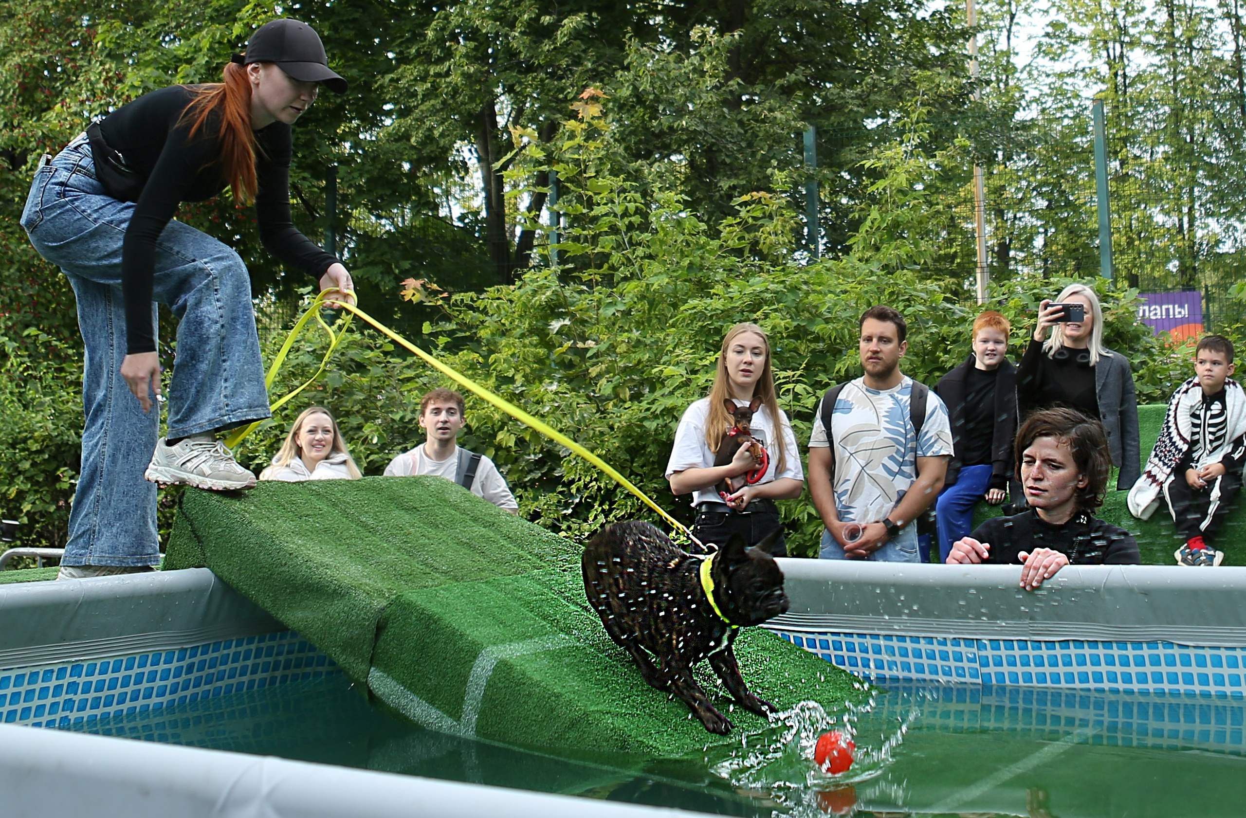 4 лапы фест Измайлово 2025