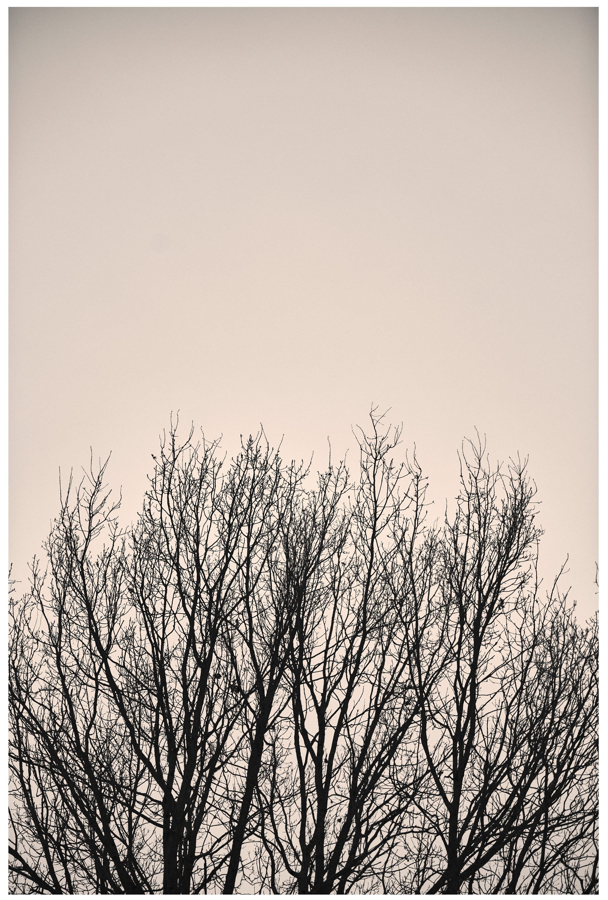 Каркас. Коммерческий фотограф в Казани Ксения Добролюбова