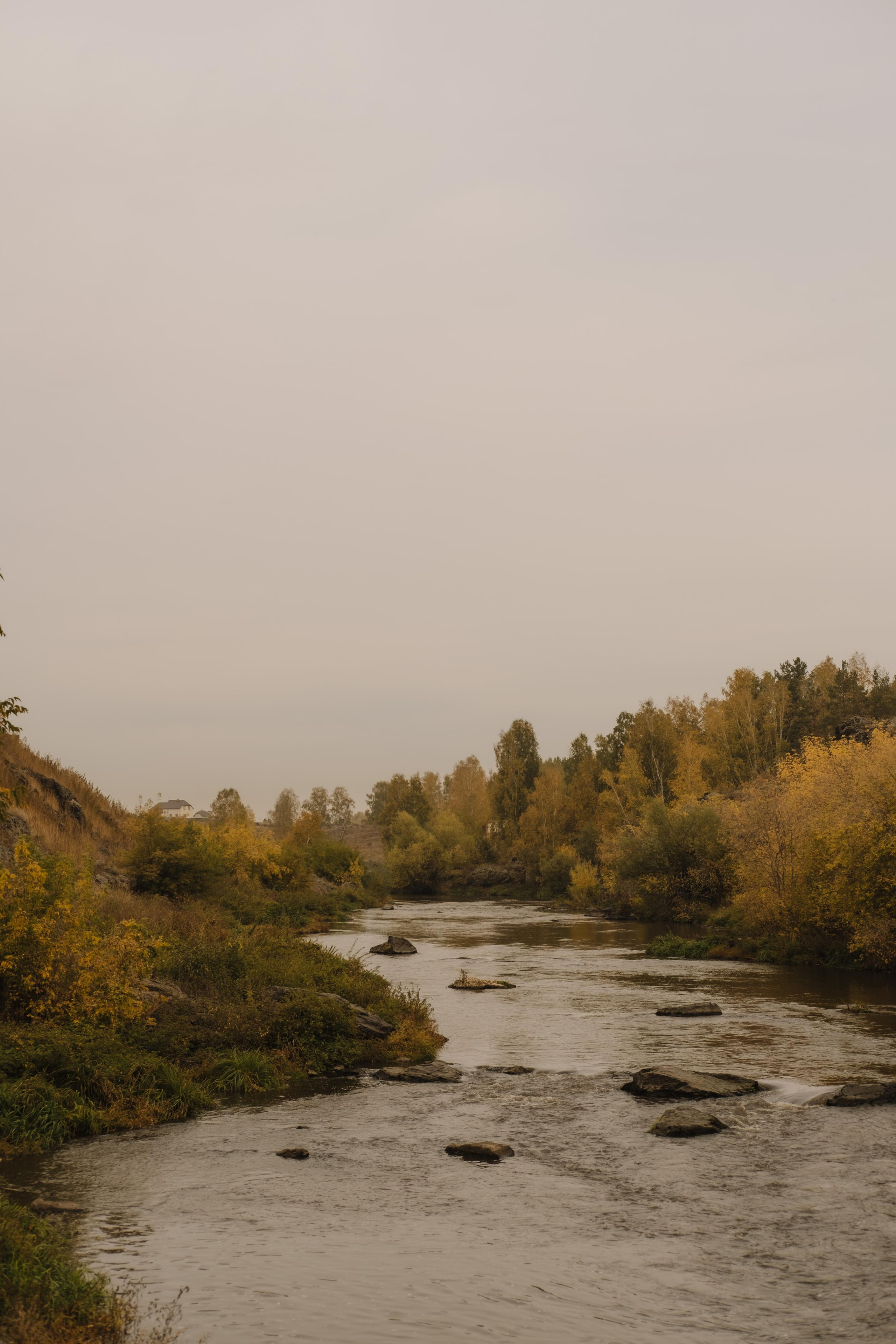 Осень с Аней. Фотограф в Санкт-Петербурге Мария Комолитдинова