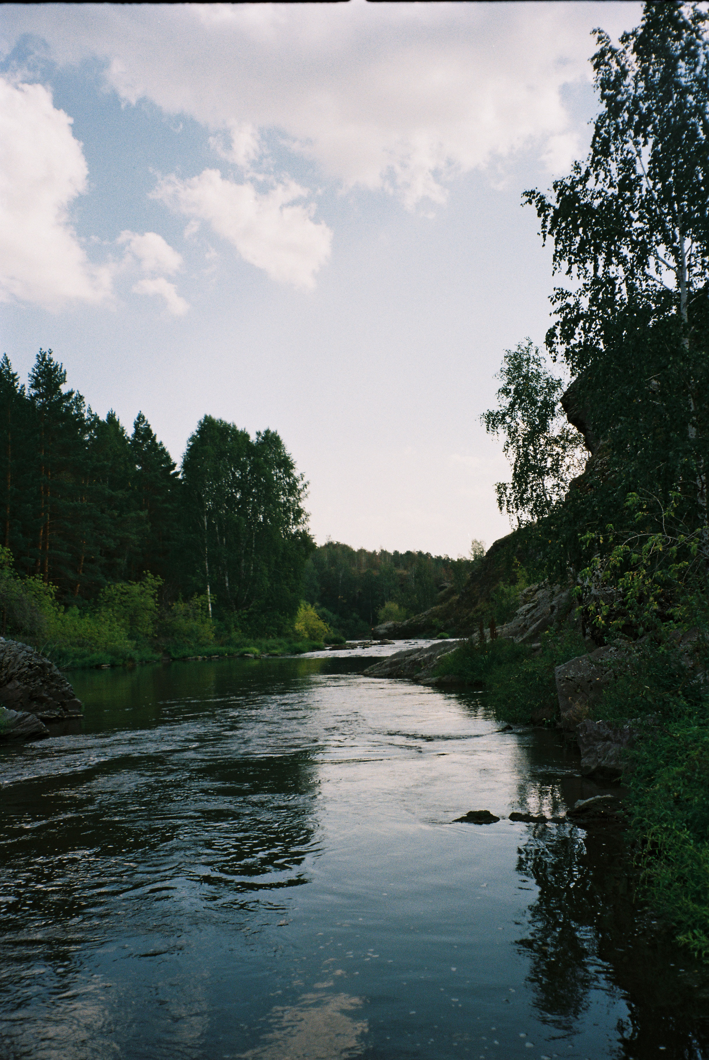 Пленка. Фотограф в Санкт-Петербурге Мария Комолитдинова