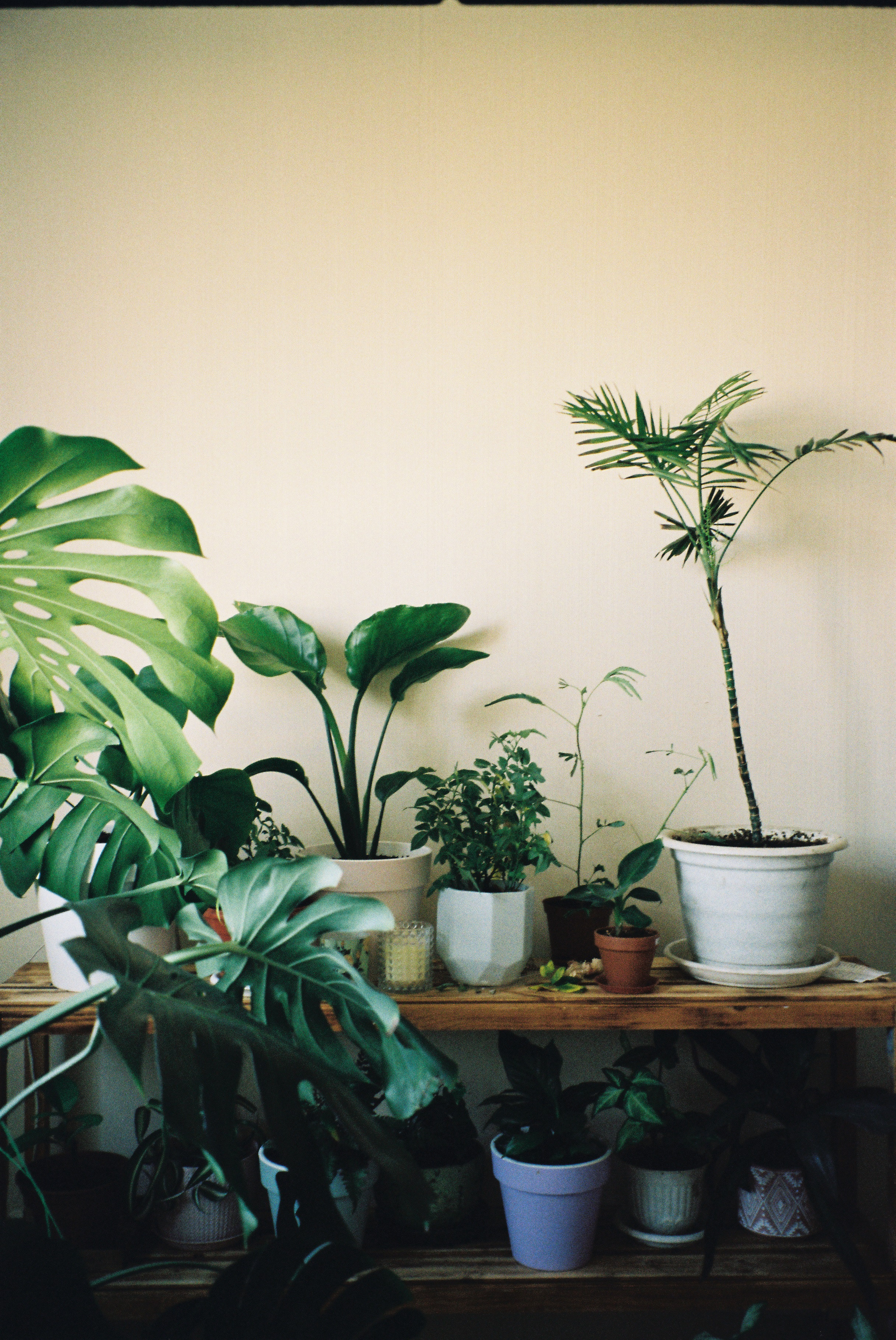 Пленка. Фотограф в Санкт-Петербурге Мария Комолитдинова