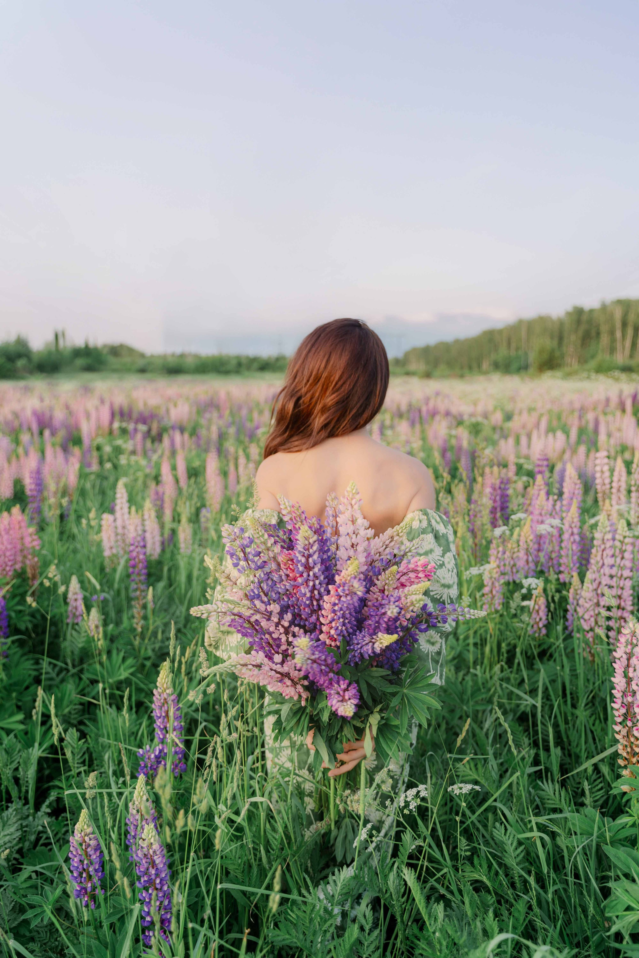 Наташа и люпины. Фотограф и видеограф в Москве и Абу Даби Мария Кулагина