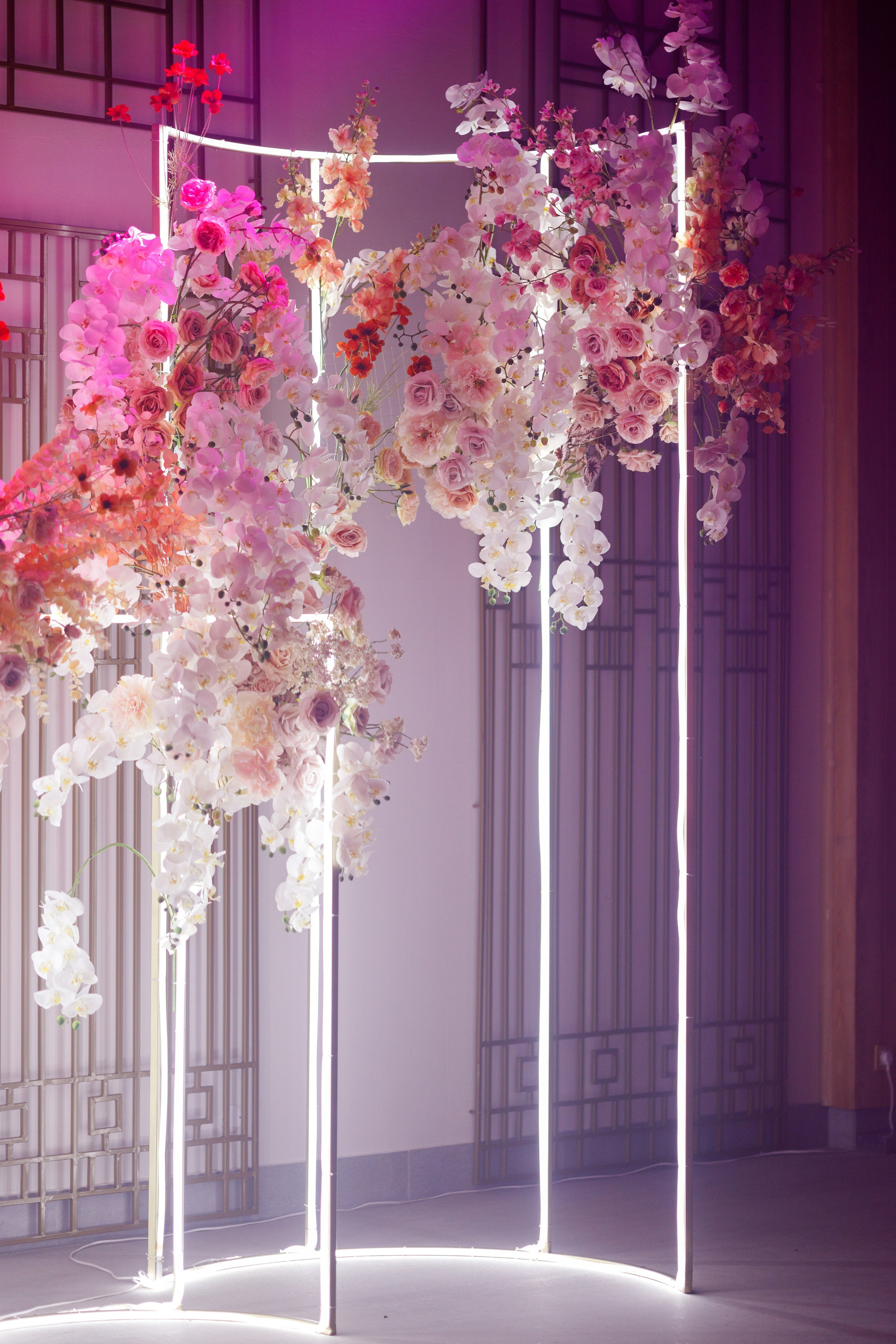 Портфолио репортаж. Репортжаный и свадебный фотограф Москва, Влада Азарова