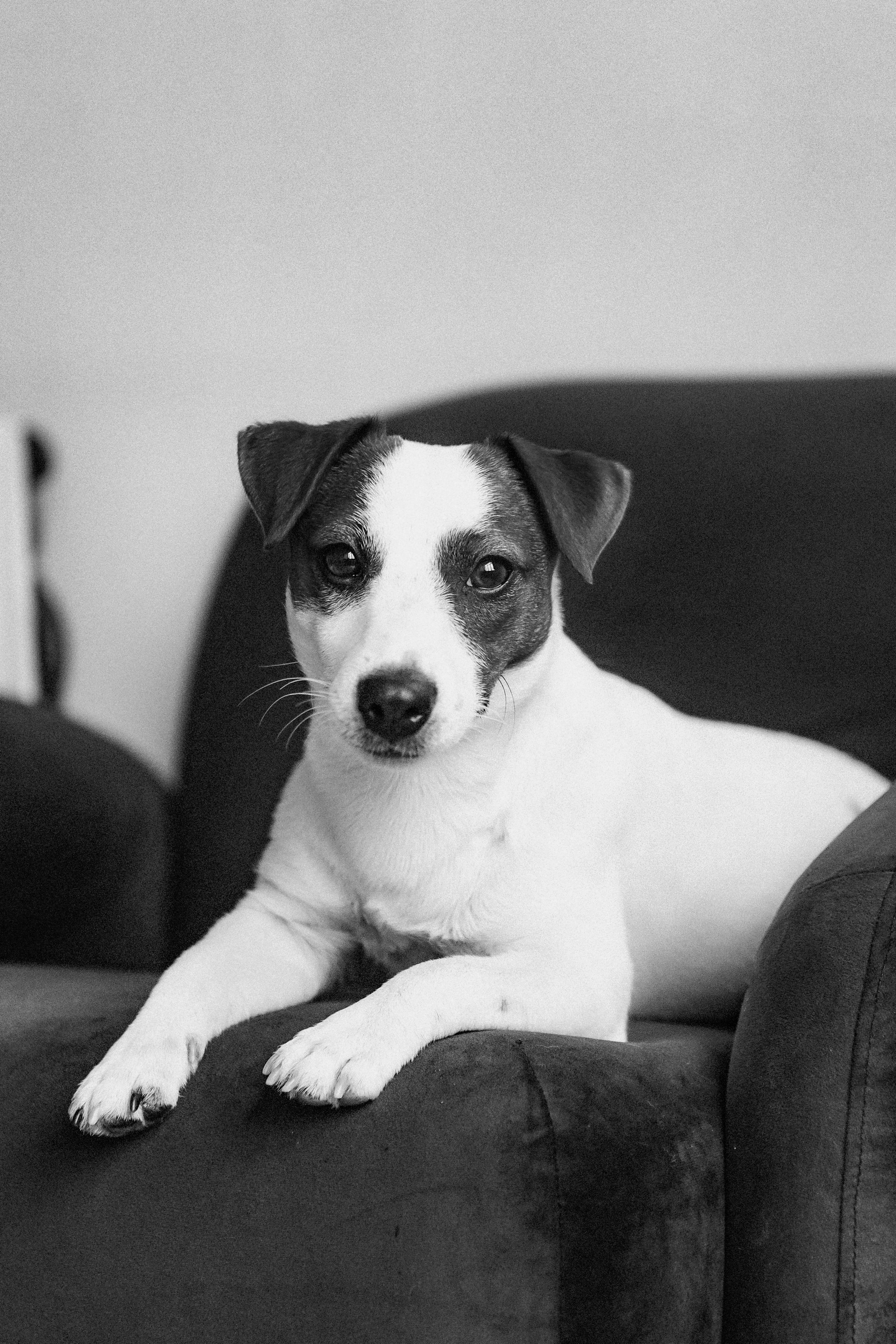 2024.03.24 Танюша, Руслан и Боба. Ирина Бешляга. Фотограф в Москве и по всей России