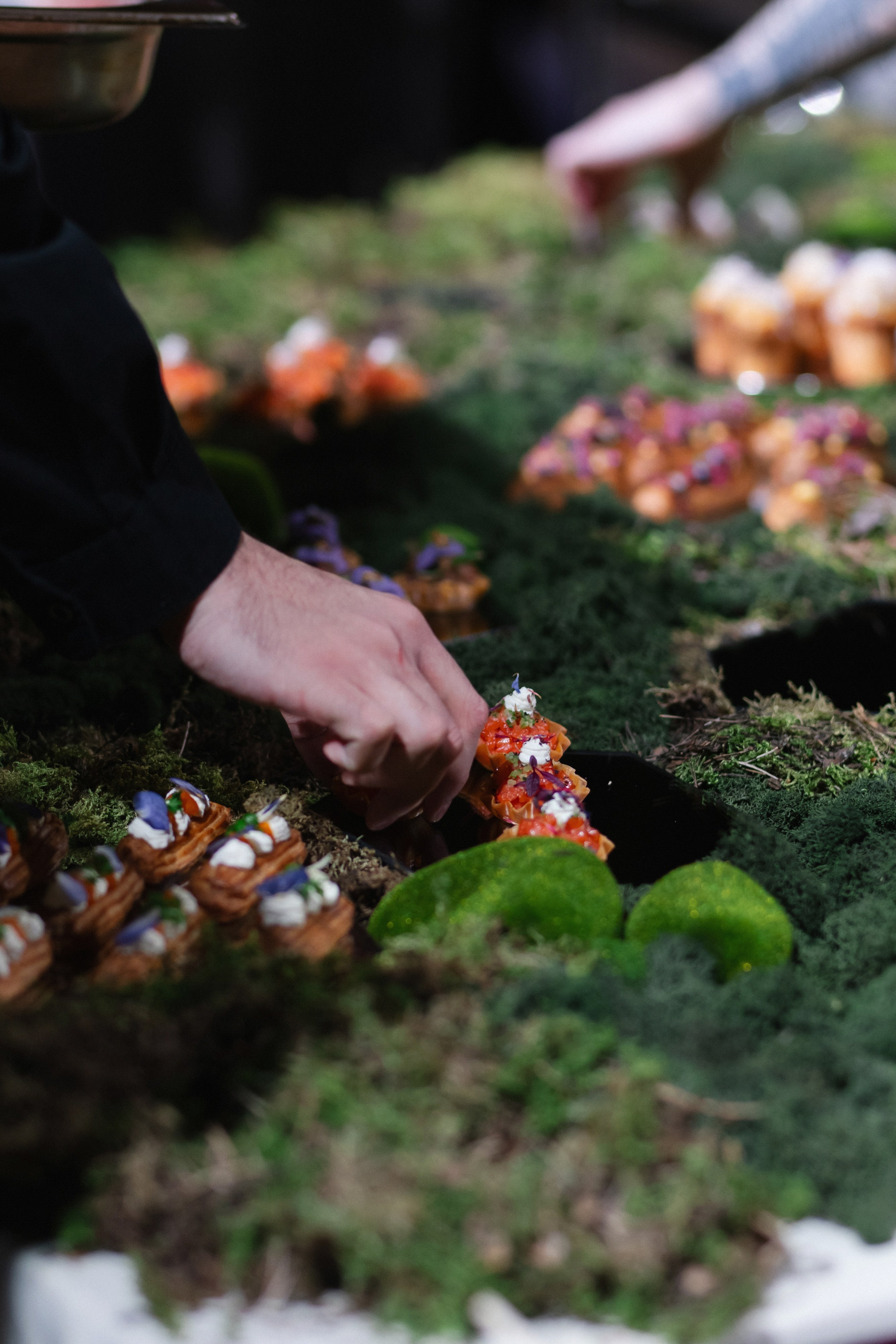 «ПИР». Maria Startseva Photo