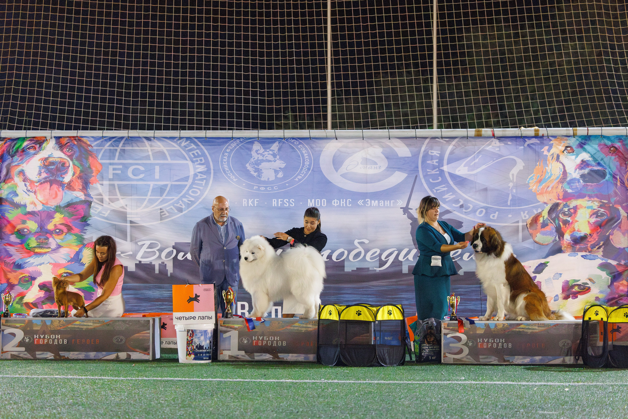 Волгоград 2-4.08.2024. Фотограф-анималист Юлия Германика
