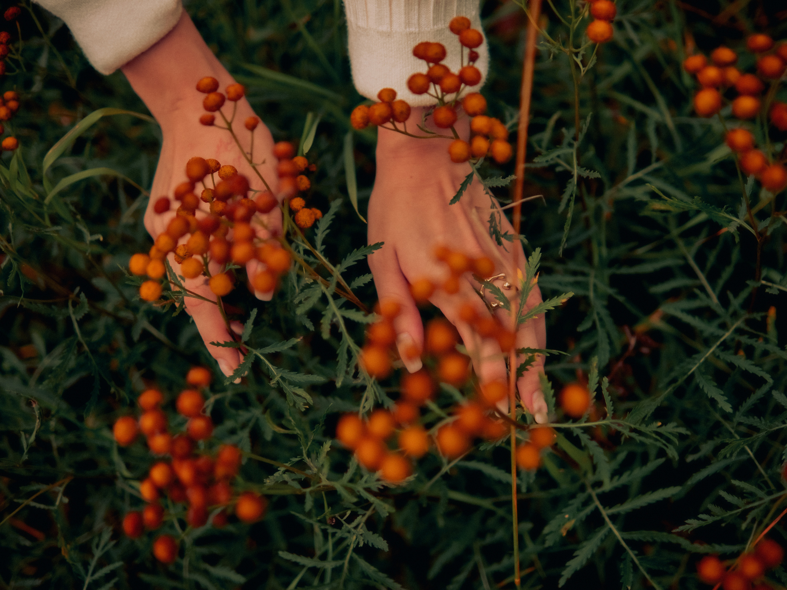 Стася. Doctor Azrael, портретный фотограф в СПб и Всеволожске