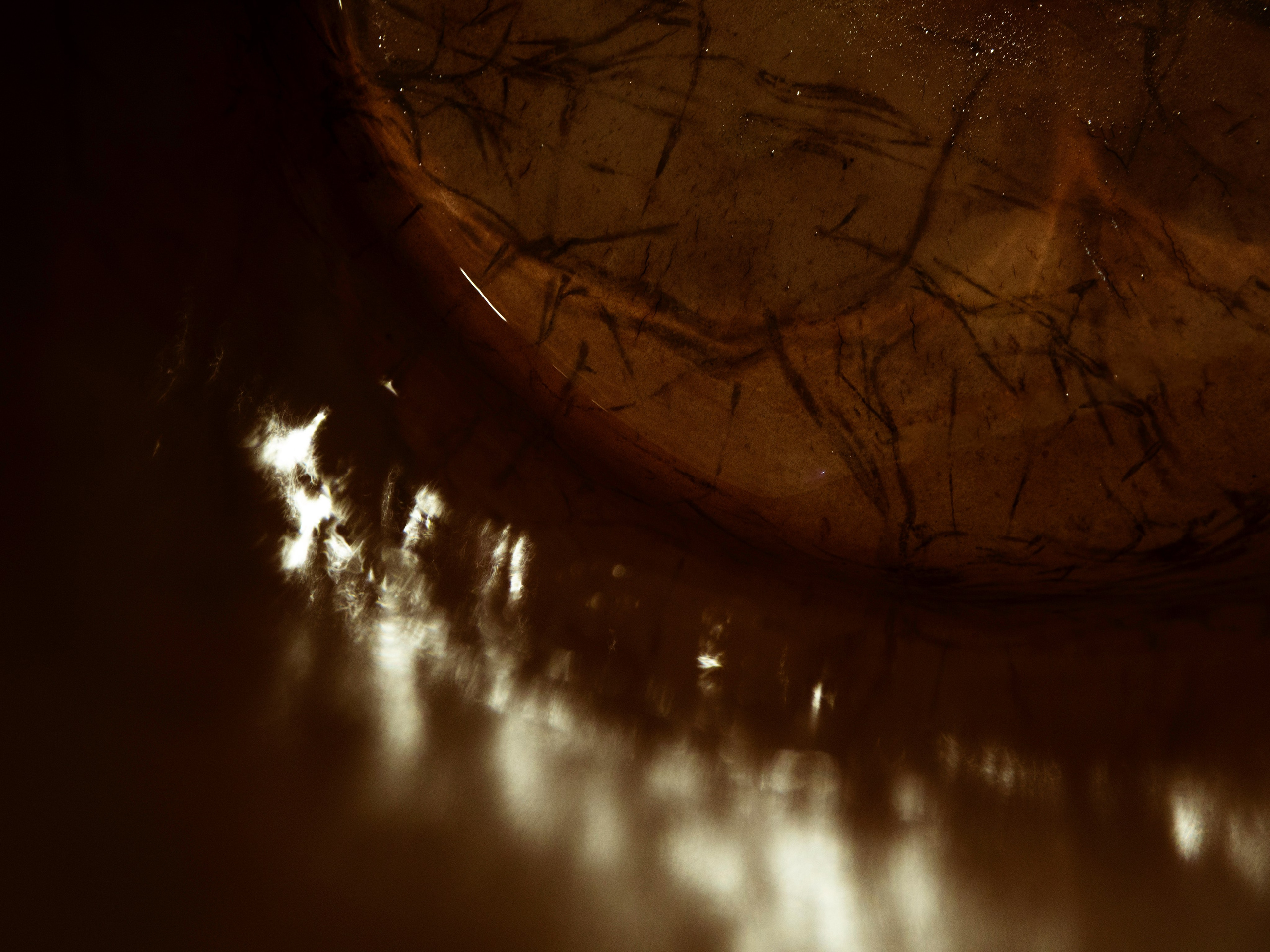 Drawing a tree. Ekaterina Shikhanova