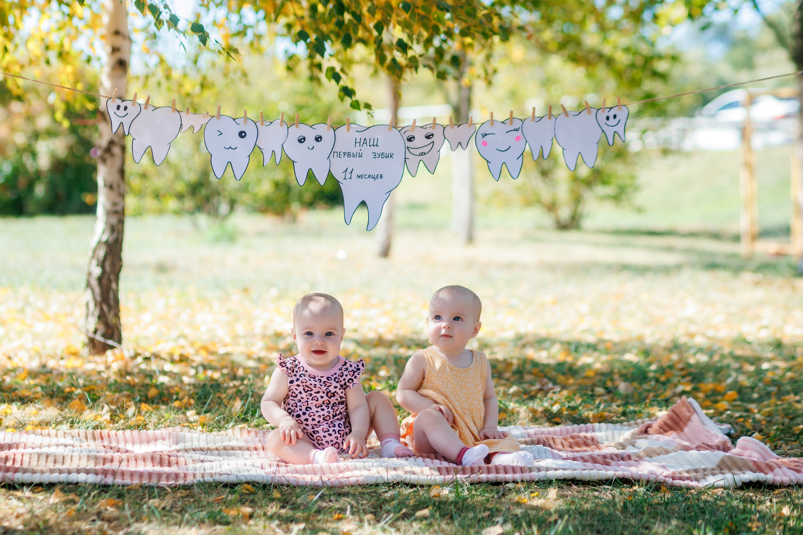 Первый зубик. Свадебный и семейный фотограф в Армавире