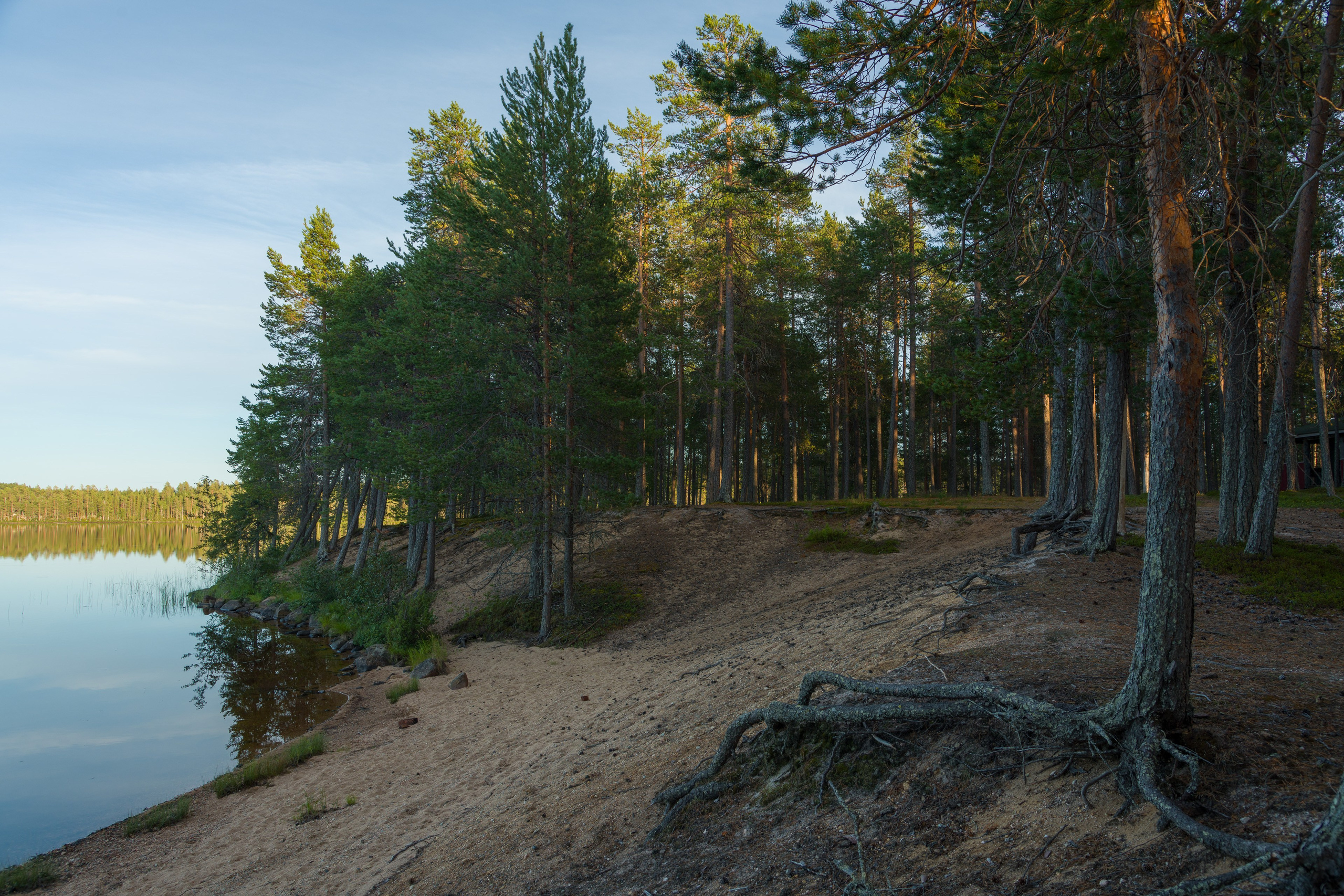 Лето. Северные Ночи