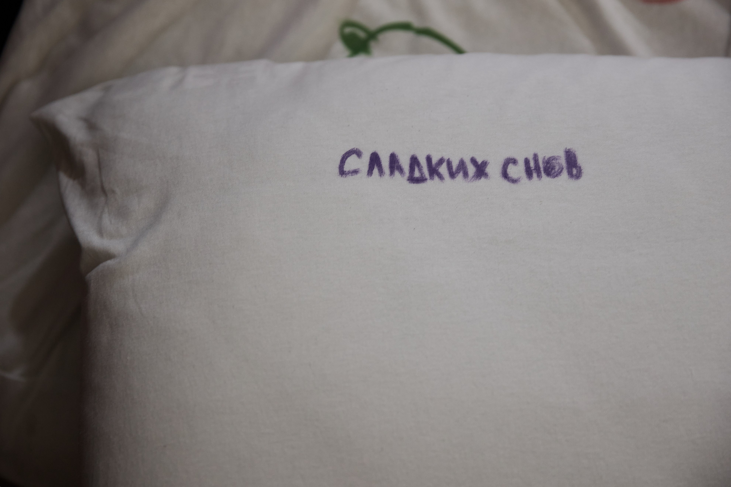 Дима и Алина. Свадебный фотограф в Москве Николай Болт