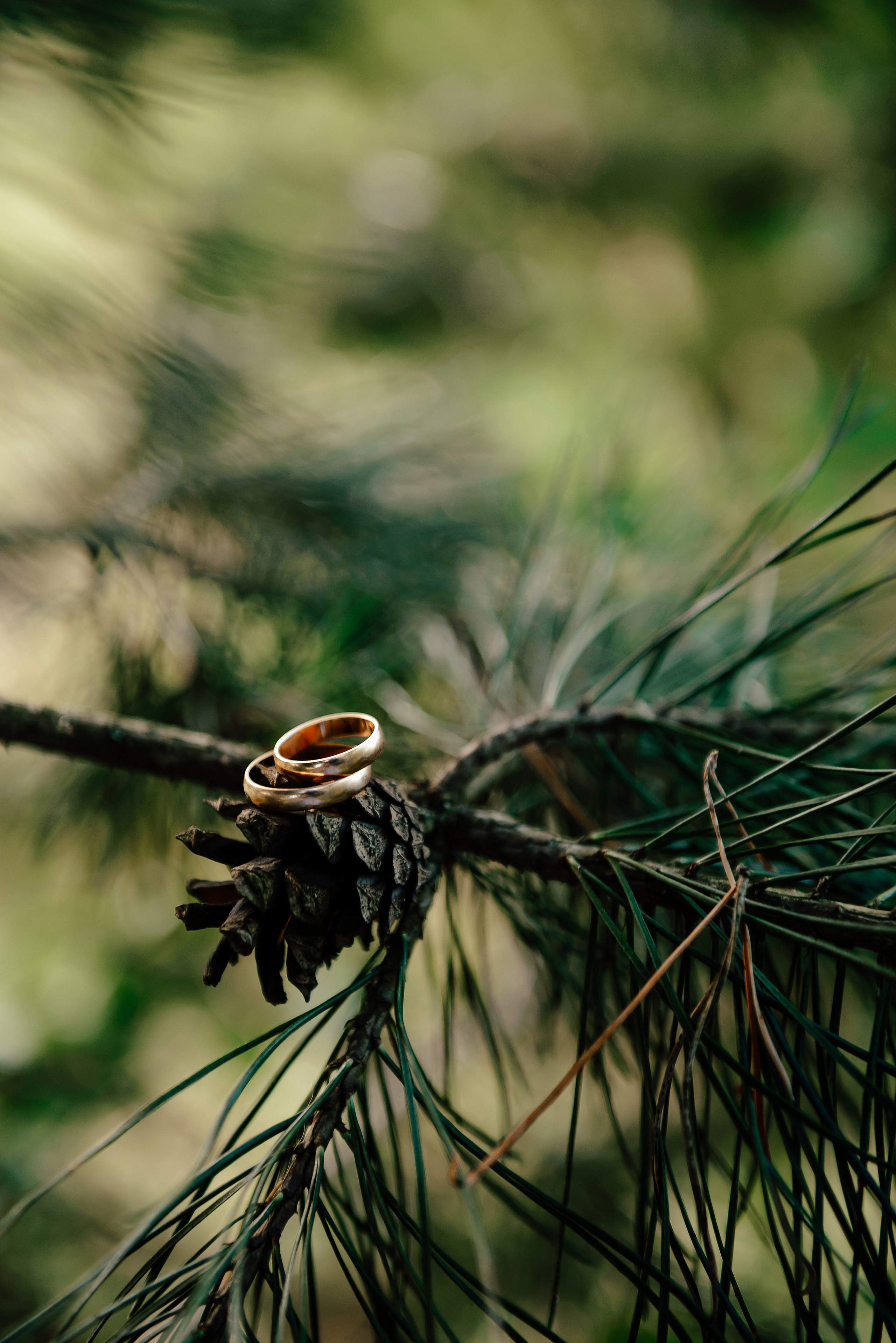 Саша & Оксана. Фотограф Микита Ласица