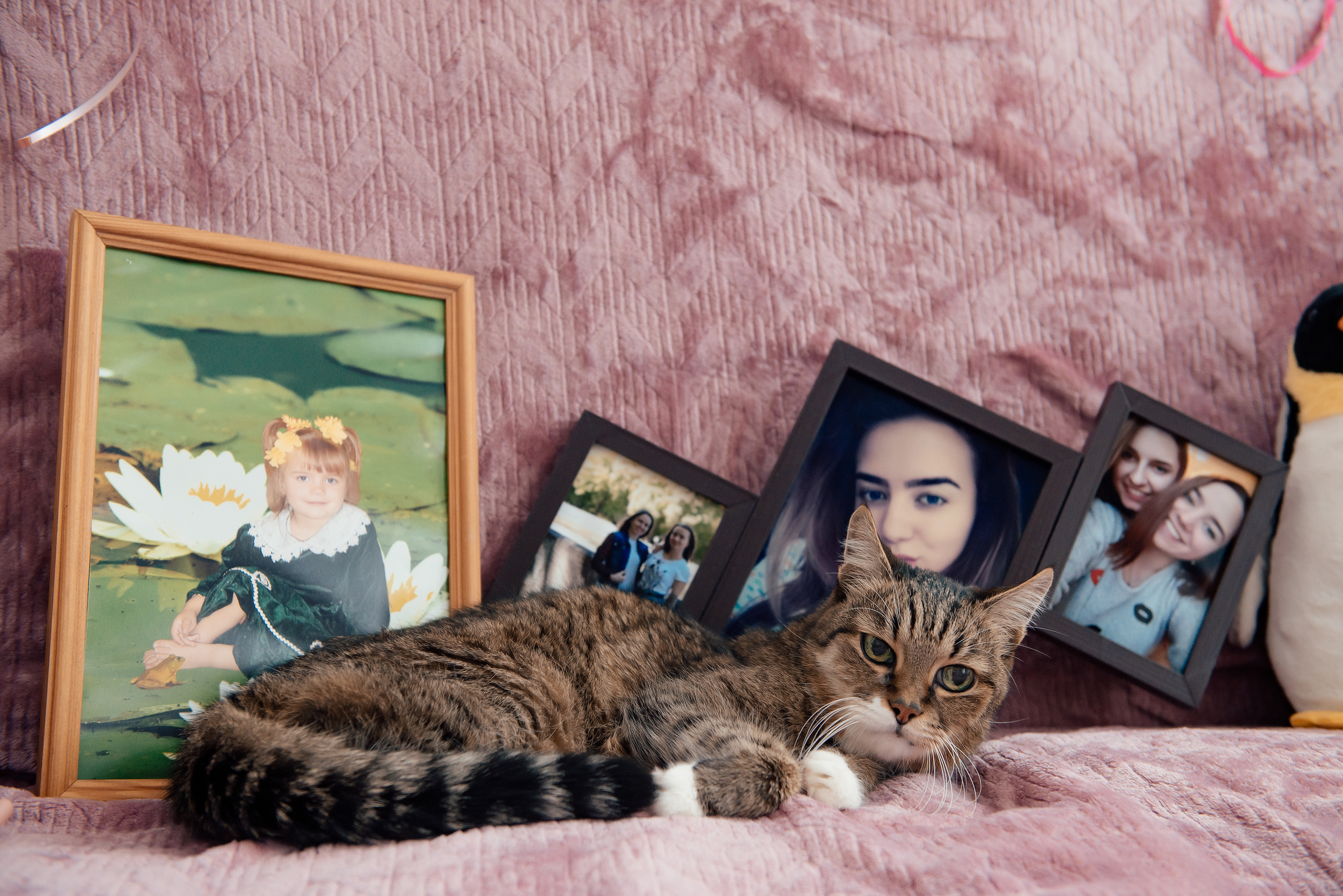 Артем & Анастасия. Фотограф Микита Ласица