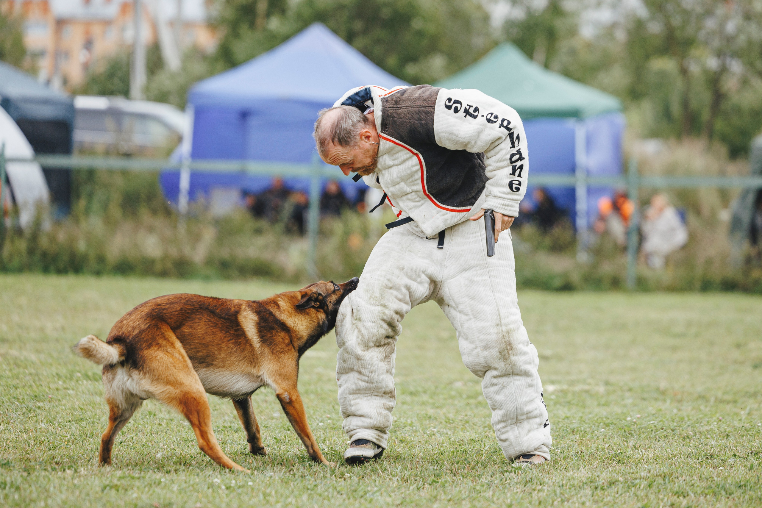 08.08.25-10.08.25 ЧР по мондьорингу г. Вологда. Фотограф-анималист Анна Маринич
