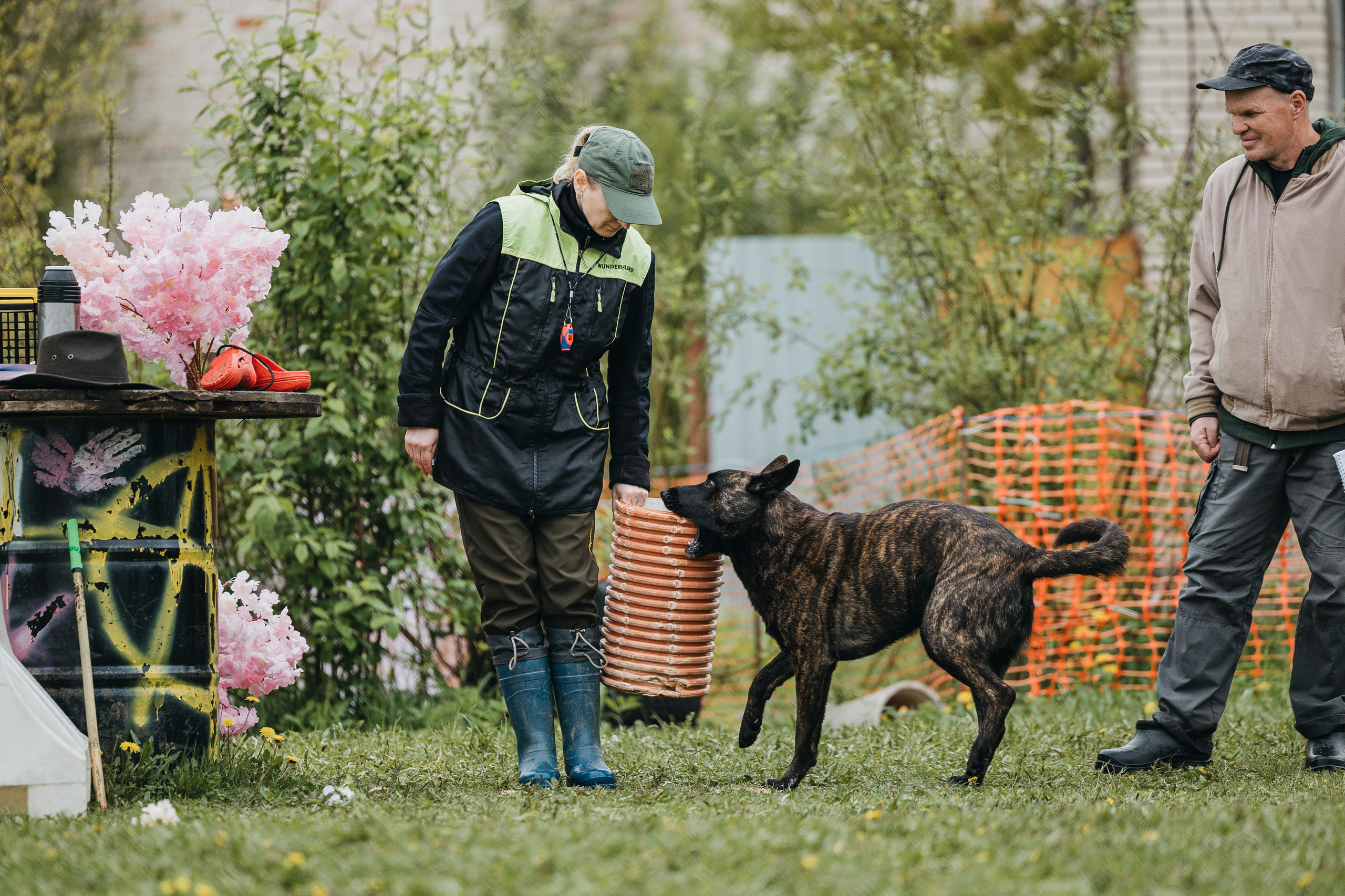 26.05.25 г. Пушкин квалификационные соревнования. Фотограф-анималист Анна Маринич