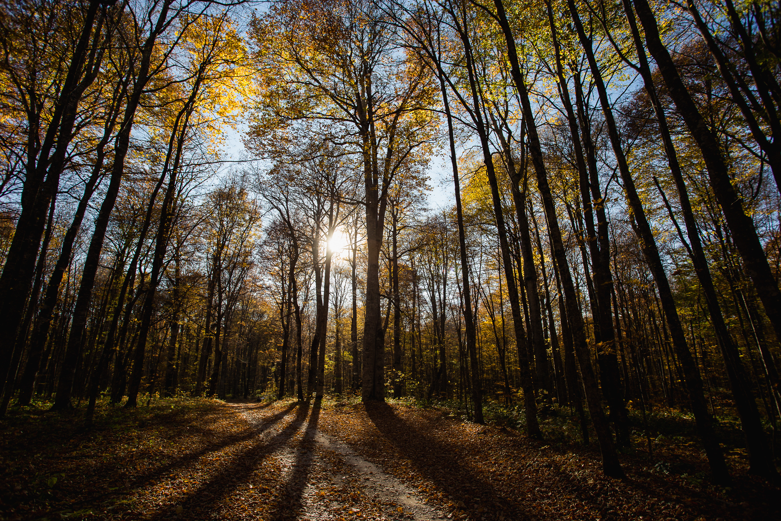 Осеннее путешествие в Адыгею. Фотограф в Ростове-на-Дону
