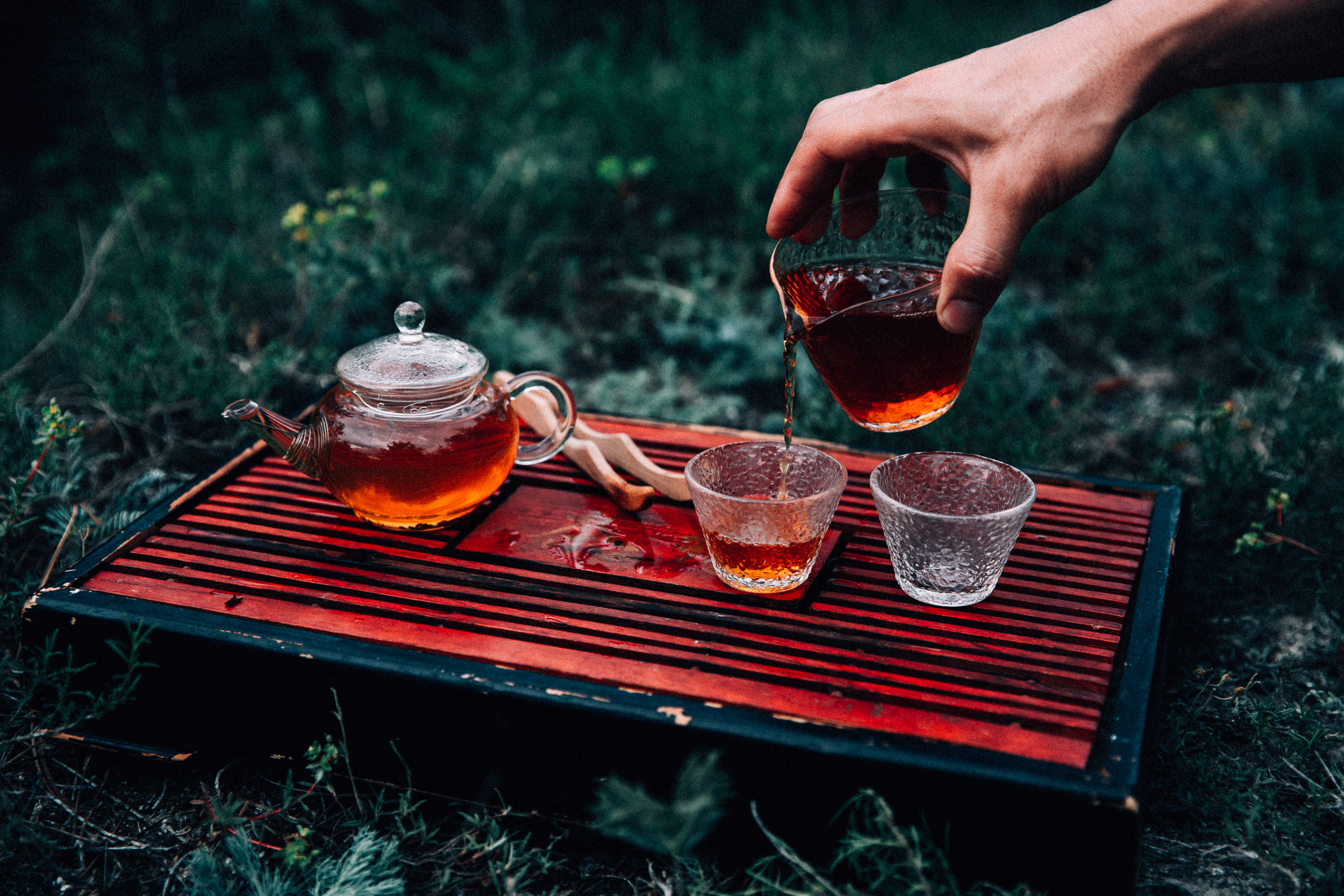 Чаепитие в лесу. Фотограф в Ростове-на-Дону