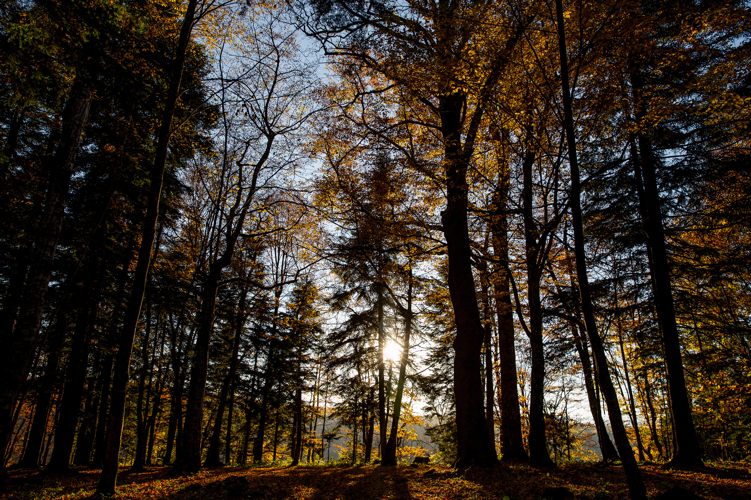 Осеннее путешествие в Адыгею. Фотограф в Ростове-на-Дону