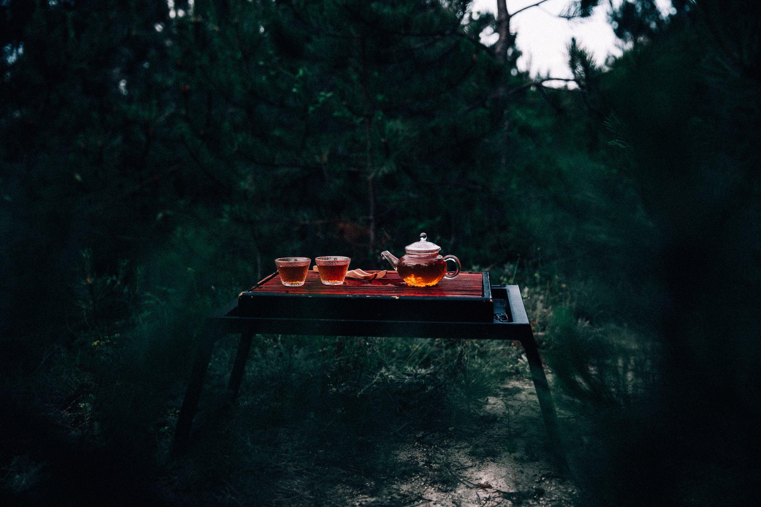 Чаепитие в лесу. Фотограф в Ростове-на-Дону