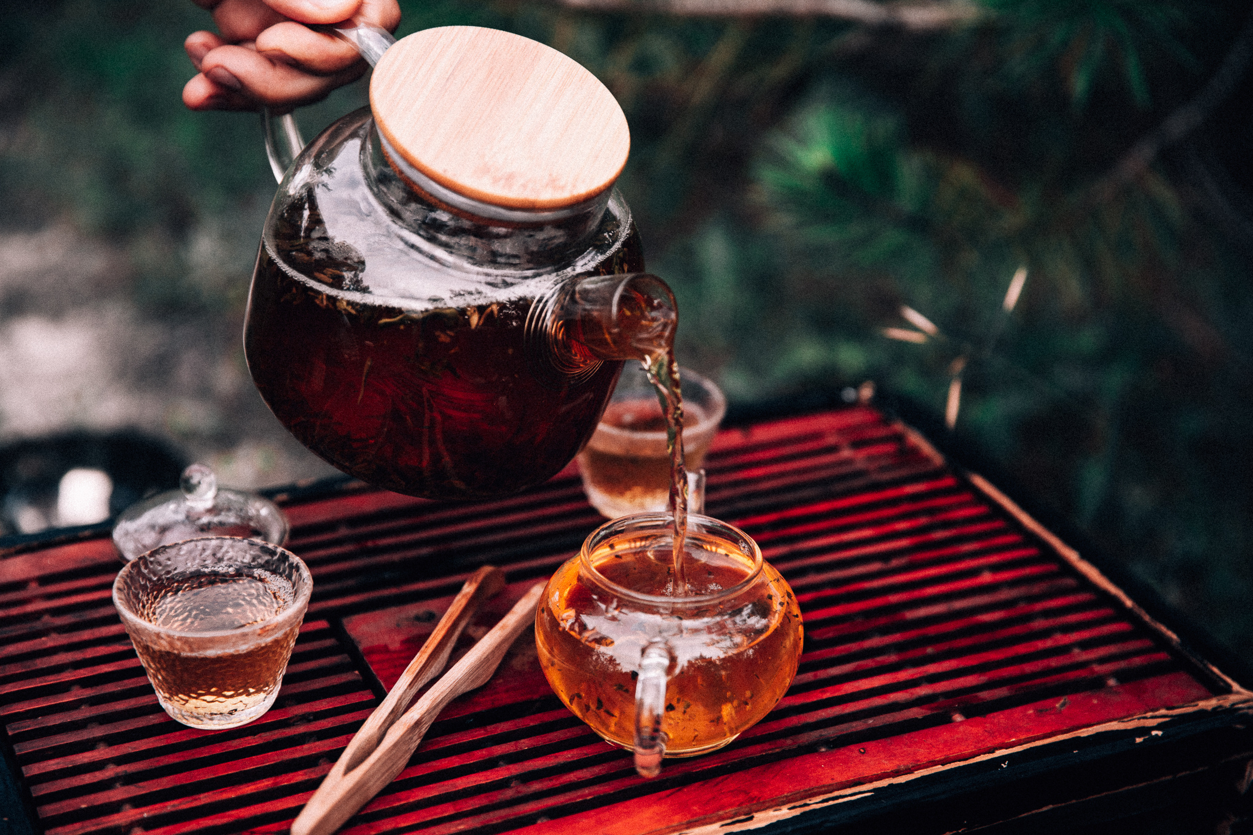 Чаепитие в лесу. Фотограф в Ростове-на-Дону