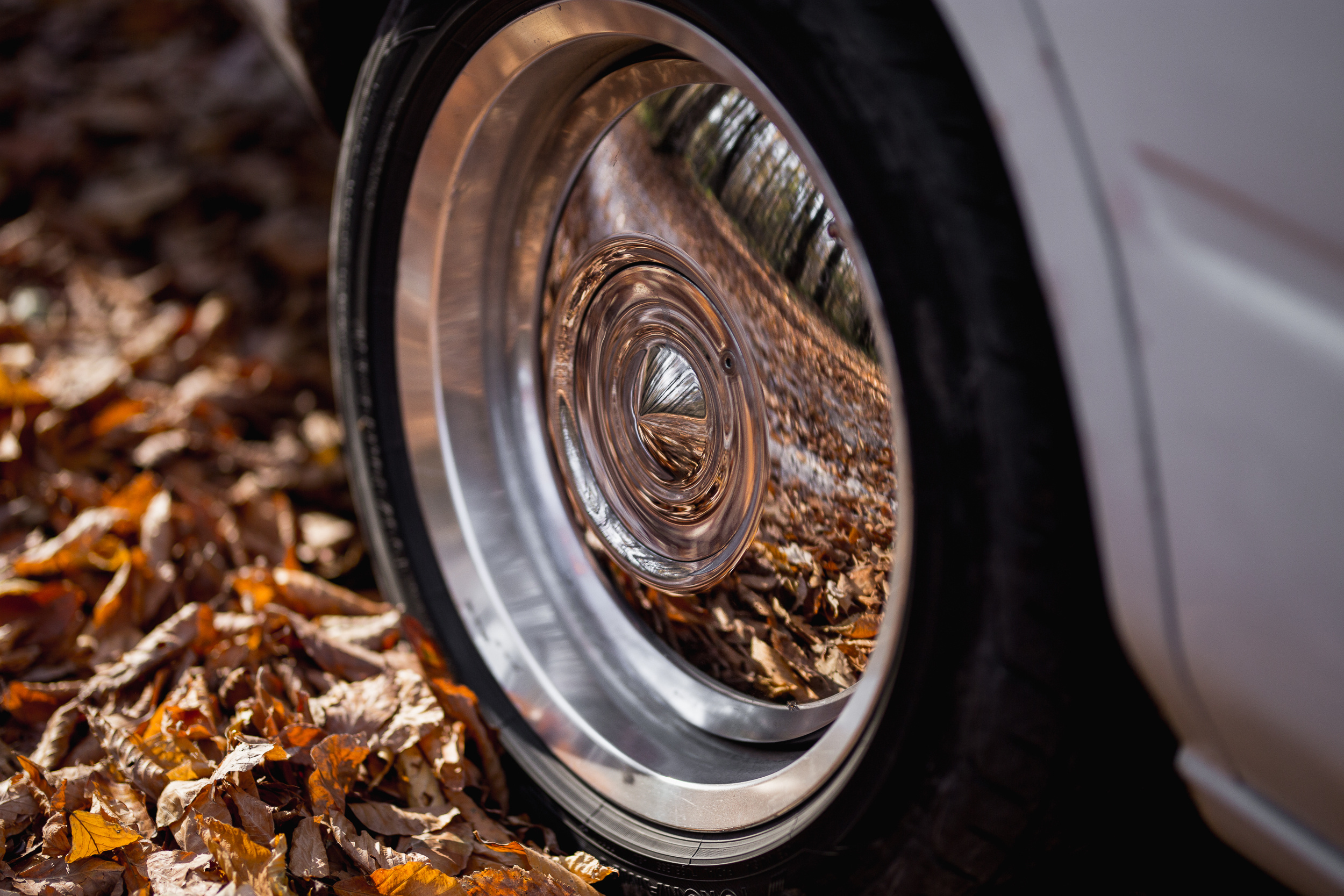 Осеннее путешествие в Адыгею. Фотограф в Ростове-на-Дону