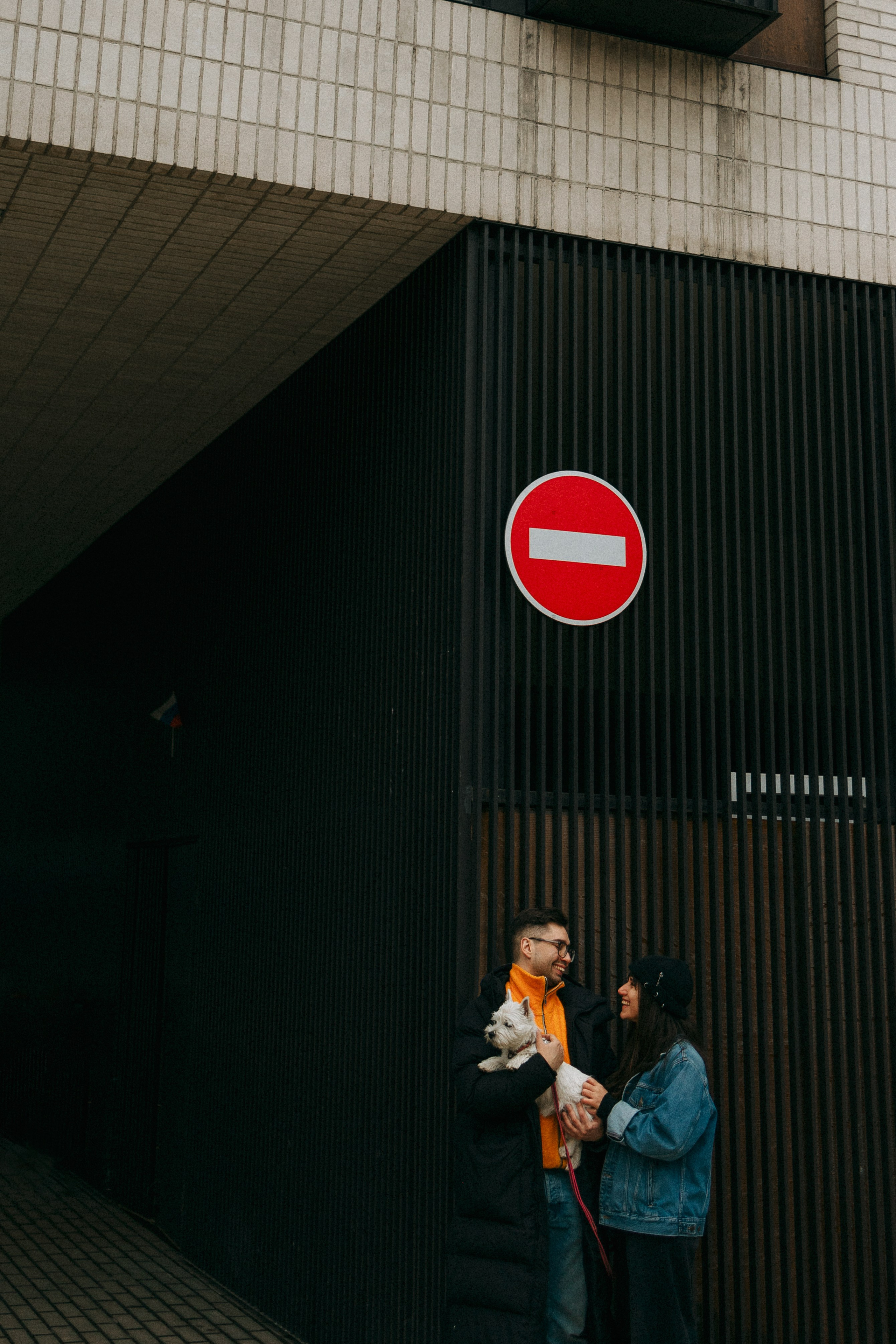 Снежуля, Мари и Саша. Фотограф анималист Анастасия Пикей