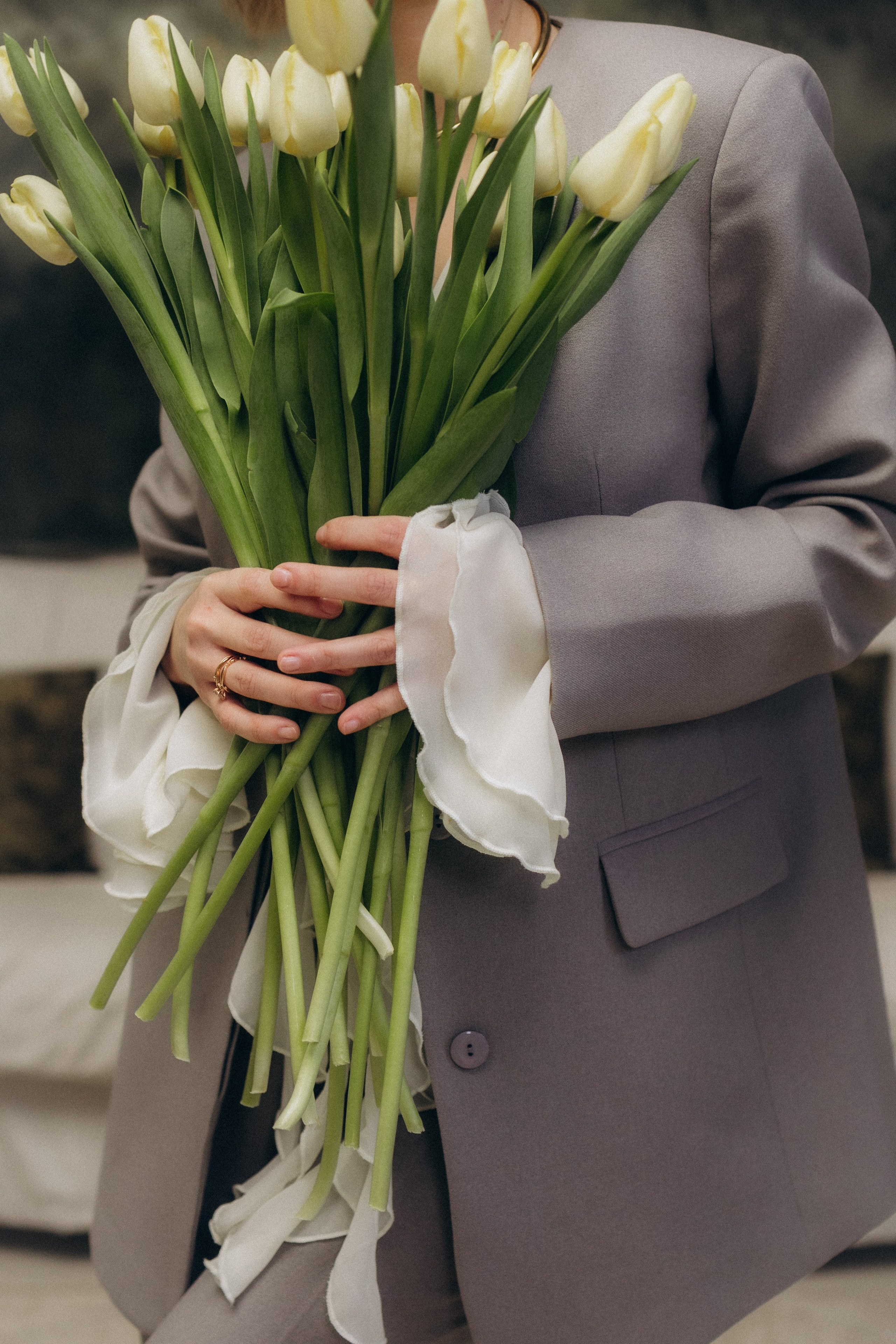 Тюльпаны. Главная