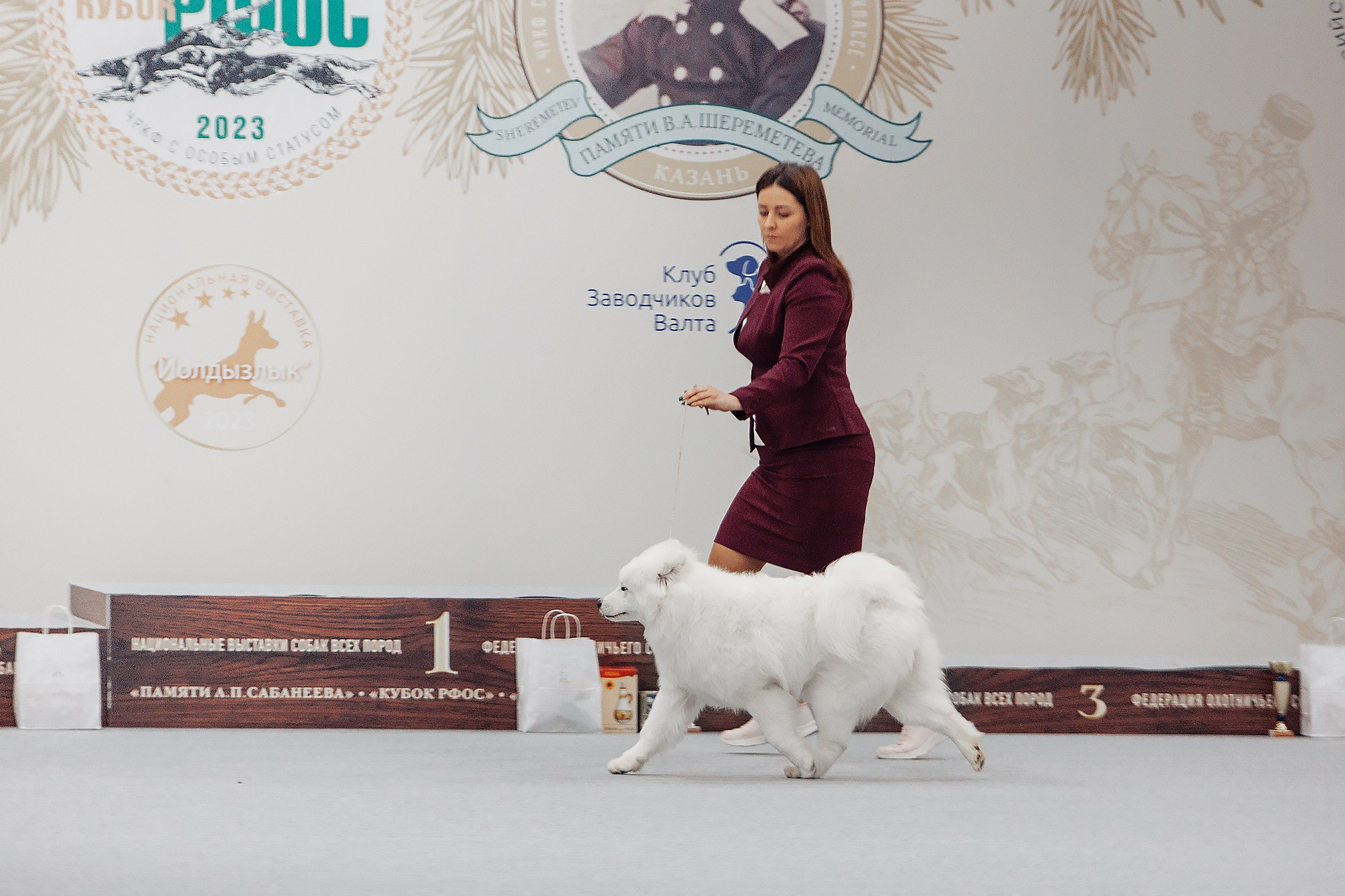 28-29.01.2023 — Казань «Сабанеевка». Фотограф-анималист Саша Вязьмина