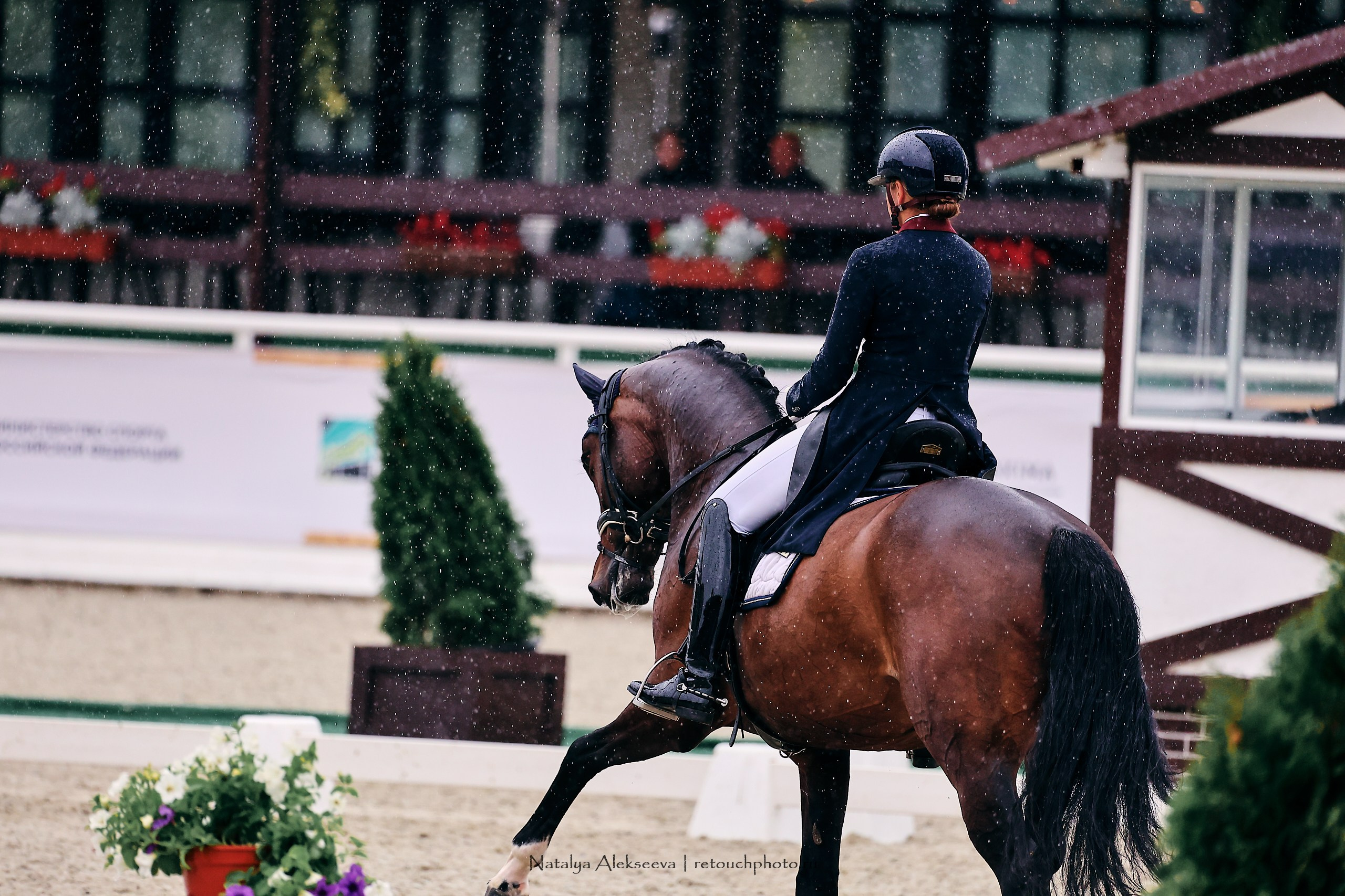 Евразийские игры по выездке, Maxima Stables. Репортажный фотограф и ретушер в Москве Наталья Алексеева