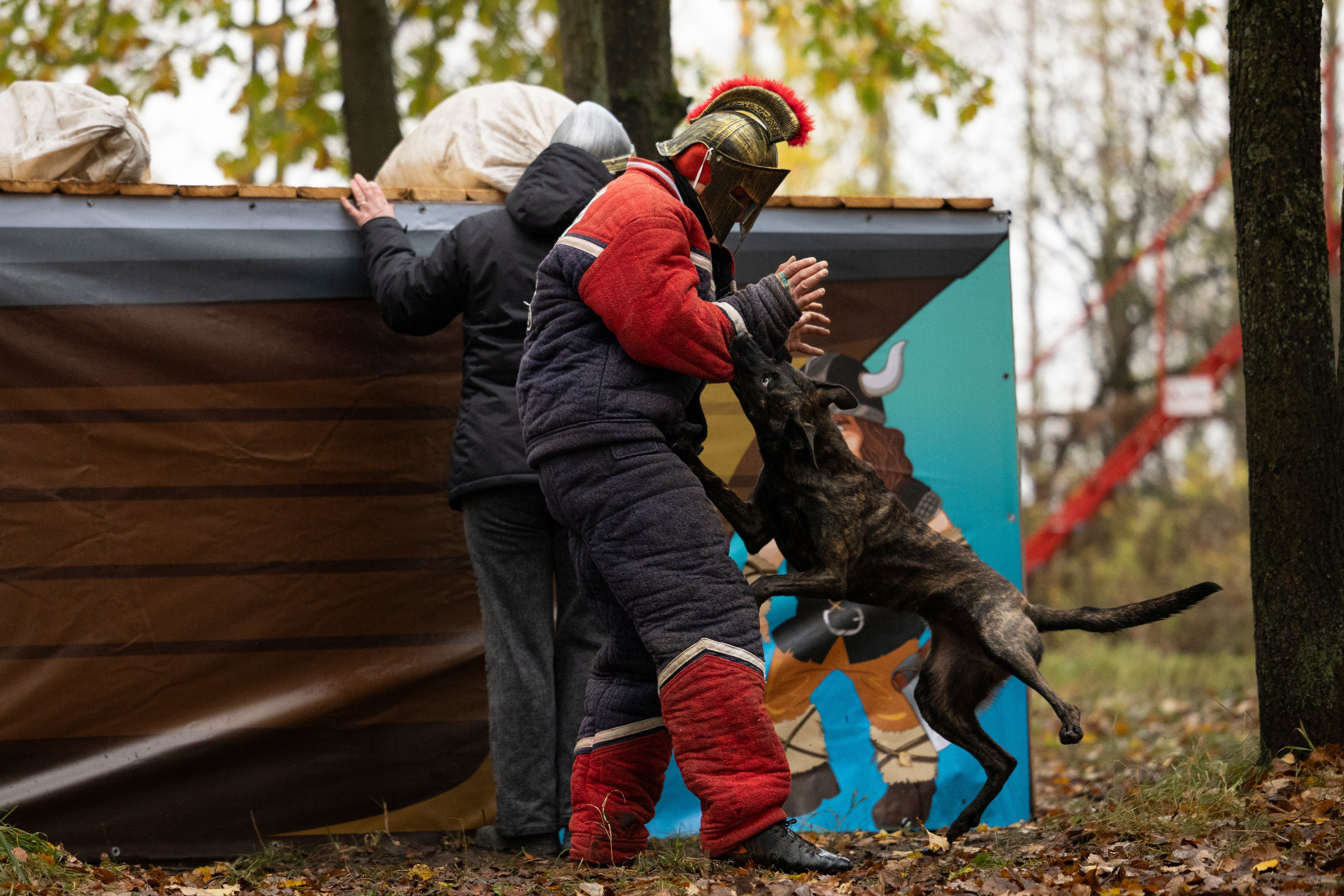 Соревнования по Мондьорингу г. Вологда. Фотограф-анималист Анна Маринич