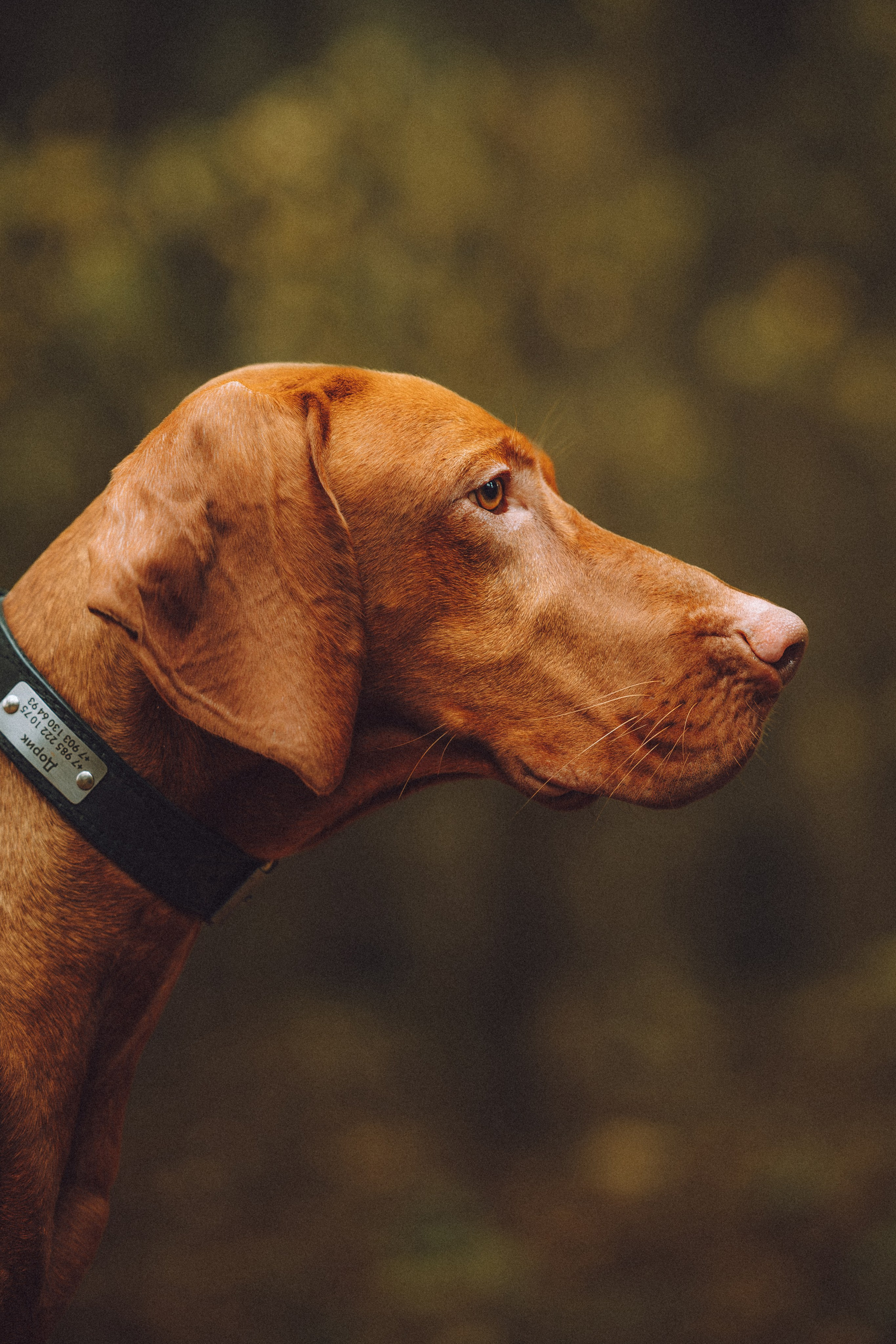 Дориан и его семья