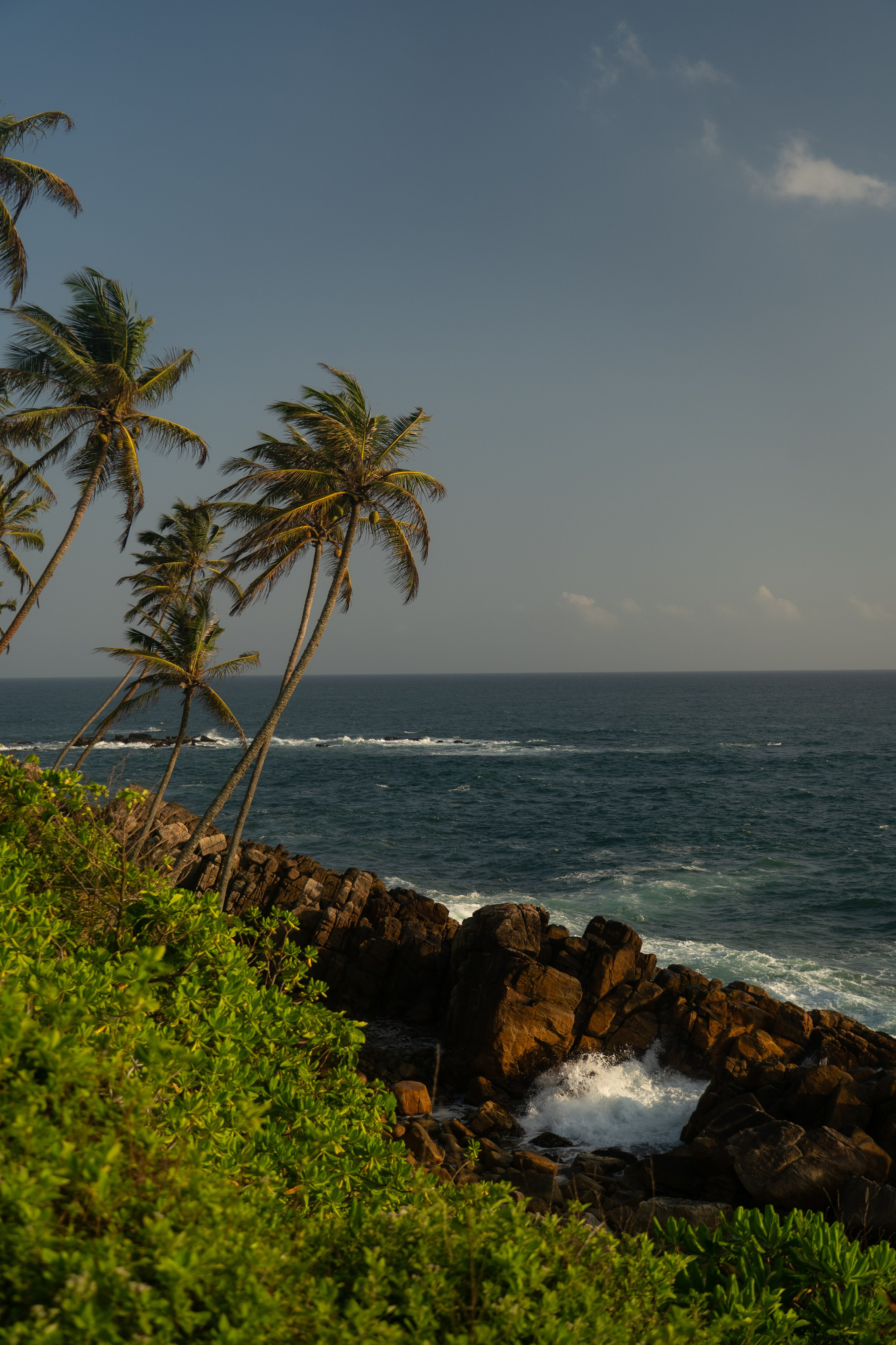 Как выбрать локацию для фотосессии на Шри-ланке?