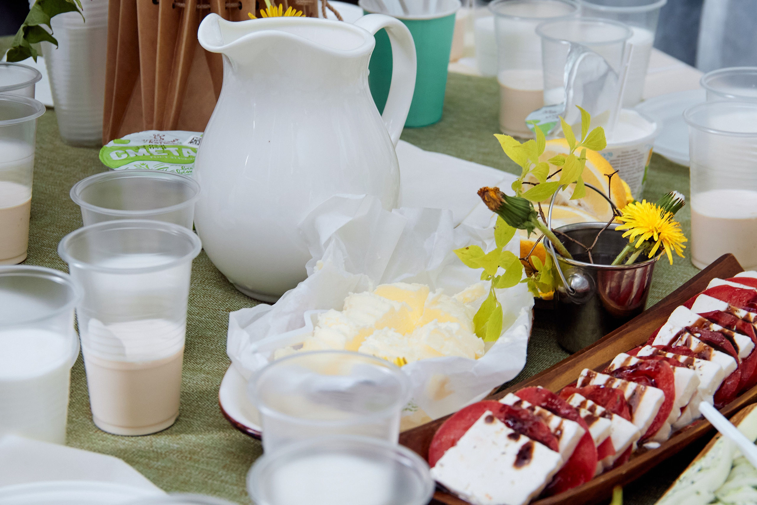 Экскурсия «Агроферма-Катынь». Фотограф в Смоленске Ася Польшина