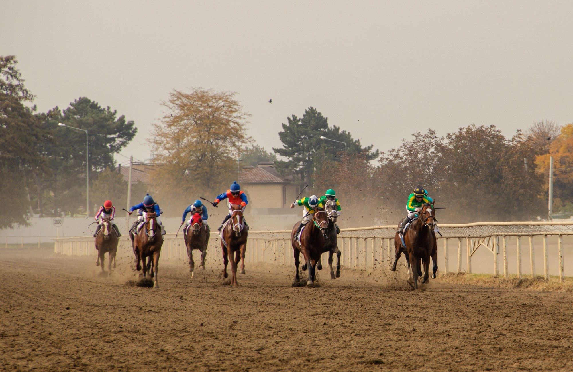 Закрытие скакового сезона на Краснодарском ипподроме. Репортажный, промышленный и маркетплейс-фотограф Дмитрий Чернат