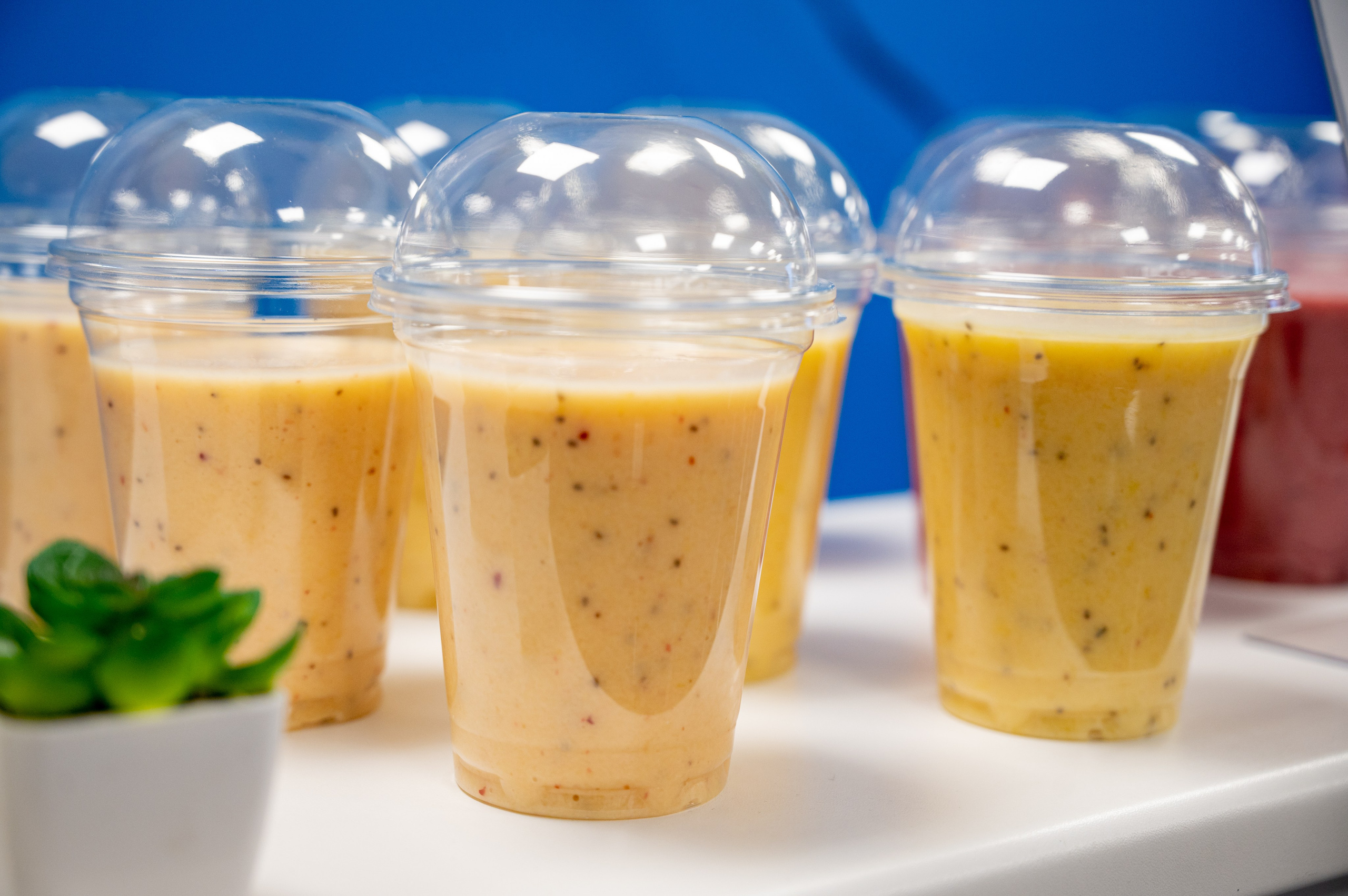 День Здоровья. Фотограф Мария