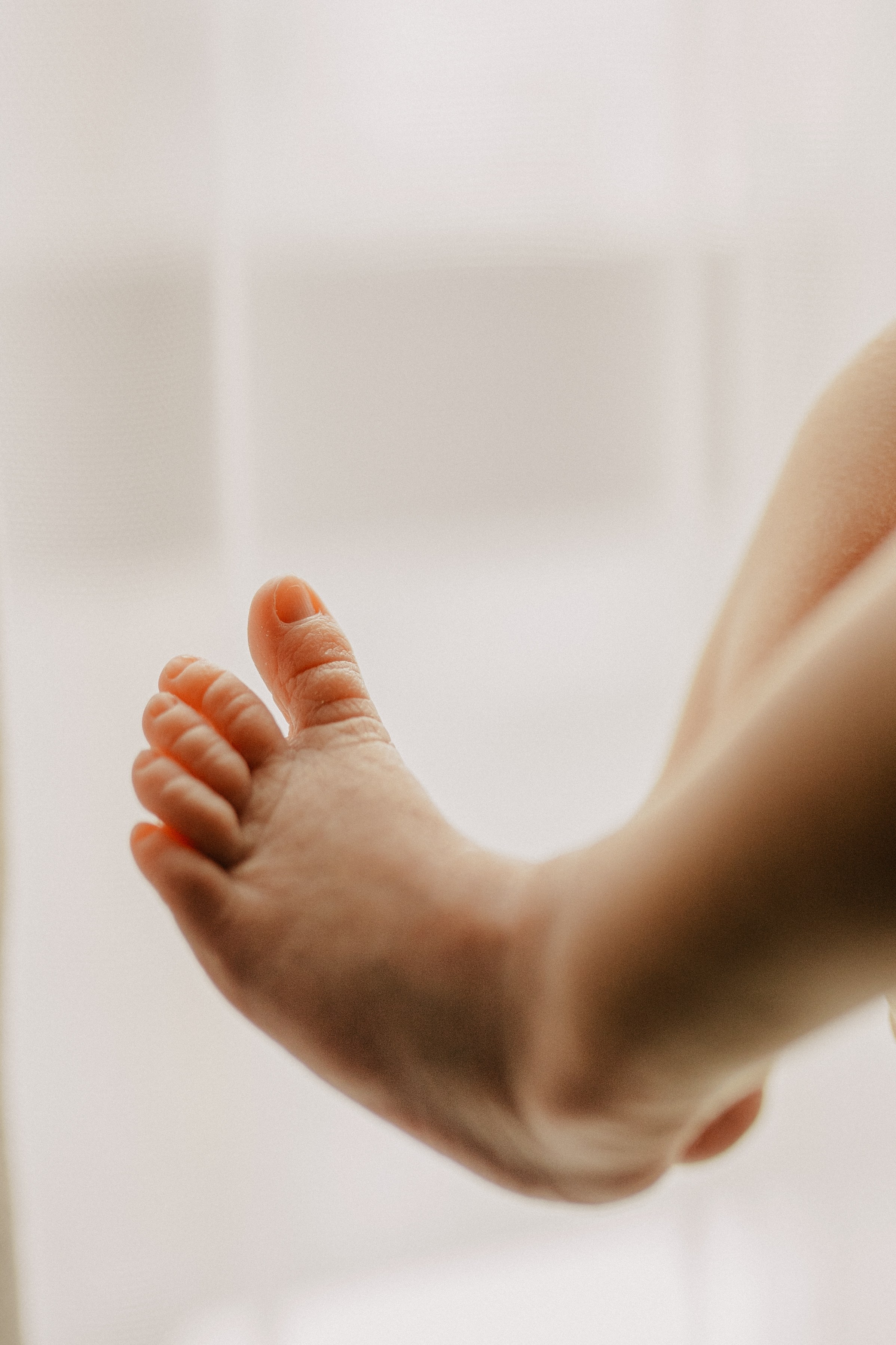 Элина, Рома, Майя. Семейный фотограф Москва