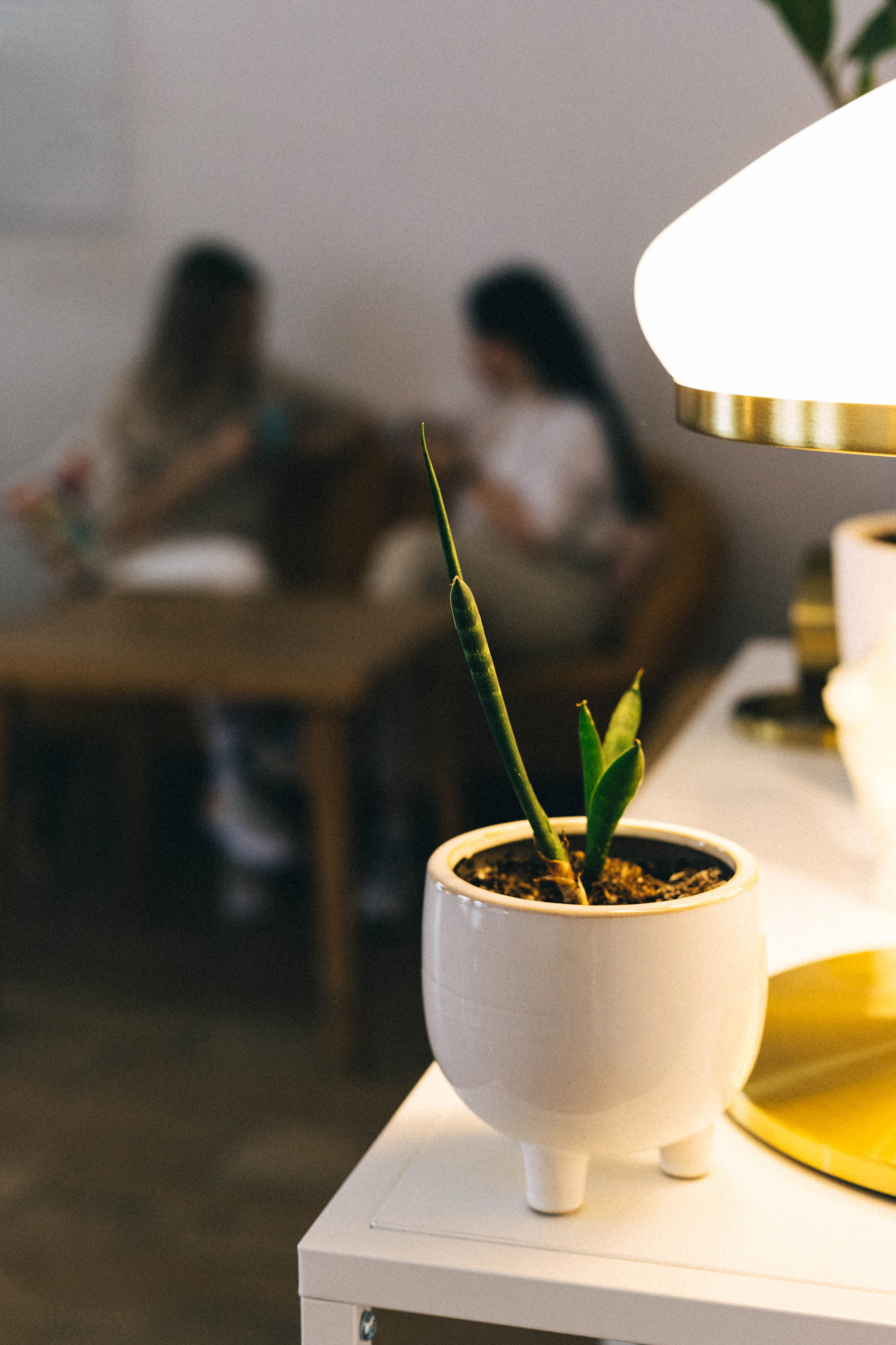 Две подруги. Фотограф в Минске Ира Сюбарева