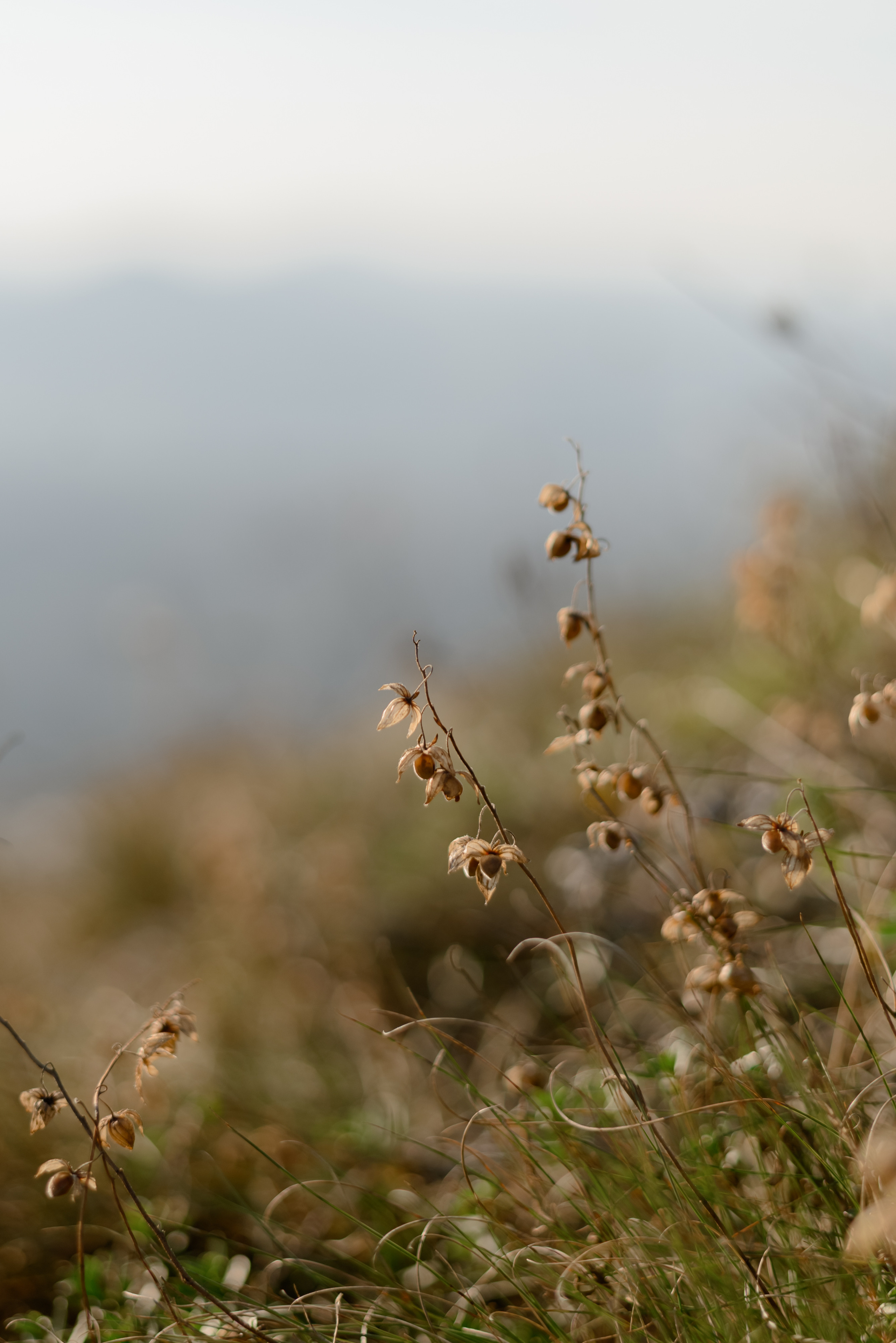 Виталик + Катя Мезмай. Backpackweddings фотограф и видеограф Ростов-на-Дону Сочи